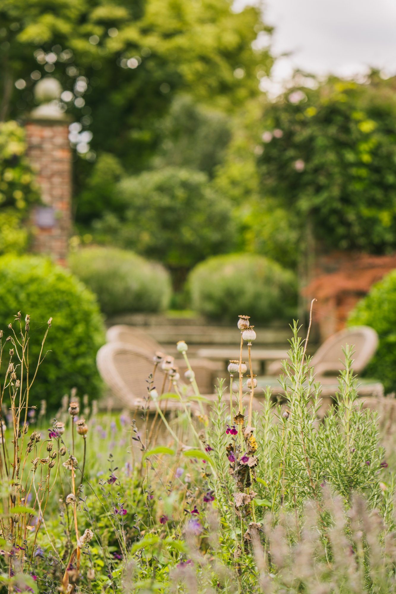 10.08.23 - Grays - Garden  (1 of 73).jpg