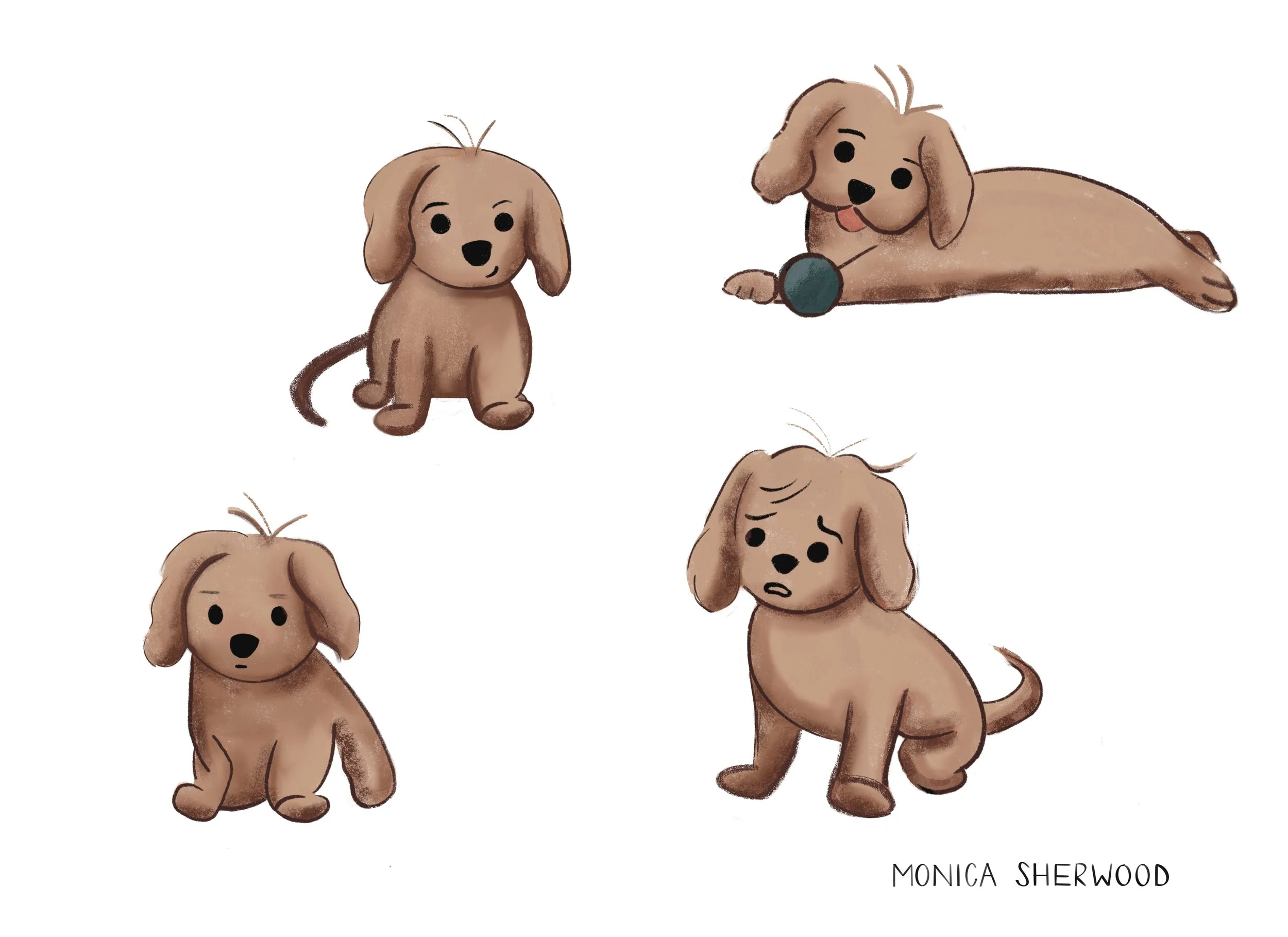 Puppy_Study.jpg