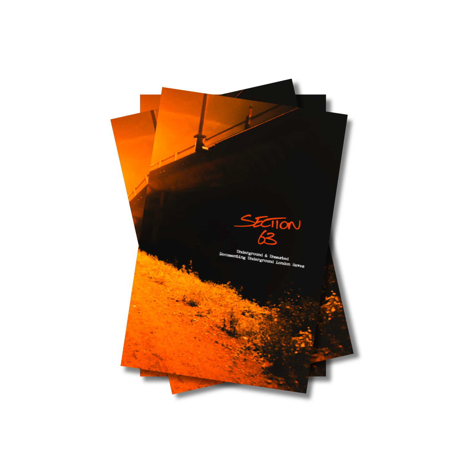 linea (52).png