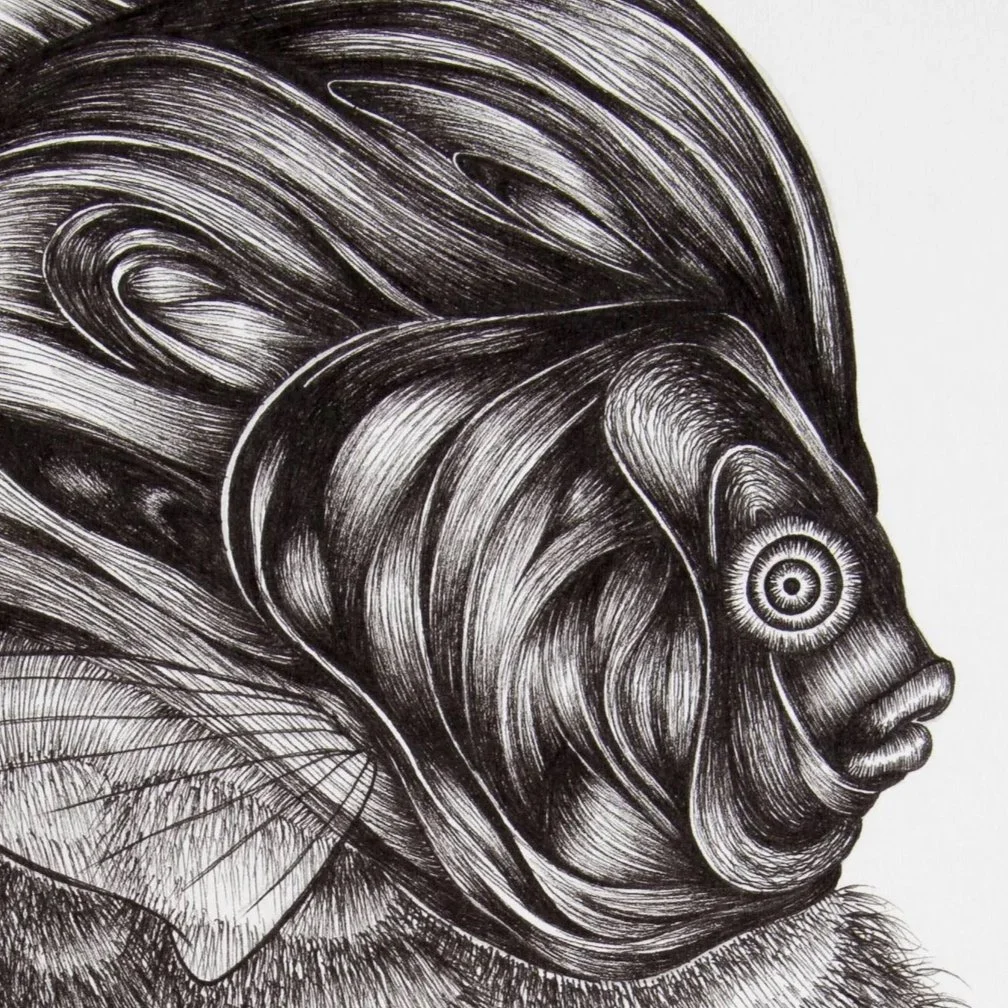 The Weikenings : Origin