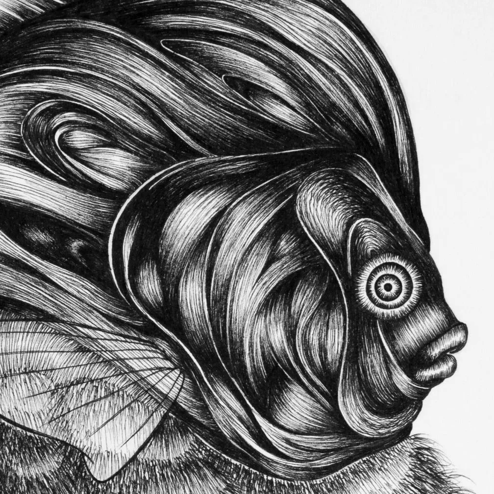 The Weikenings : Origin