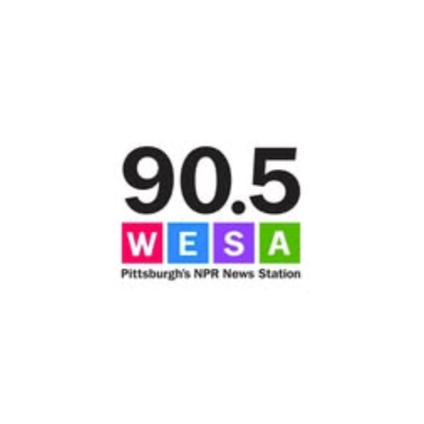 A former gravel mine in Erie County gets a second chance as forestland