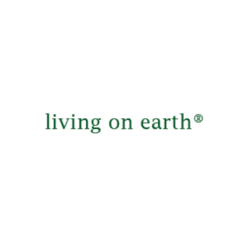 Reforesting a Gravel Mine