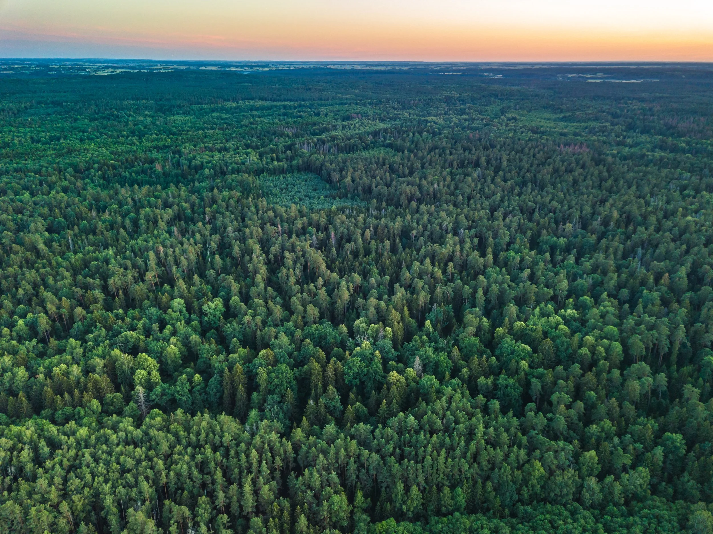 Bosland Growth Launches Spring Reforestation Across Appalachian Mine Lands with Support from Suntory Group