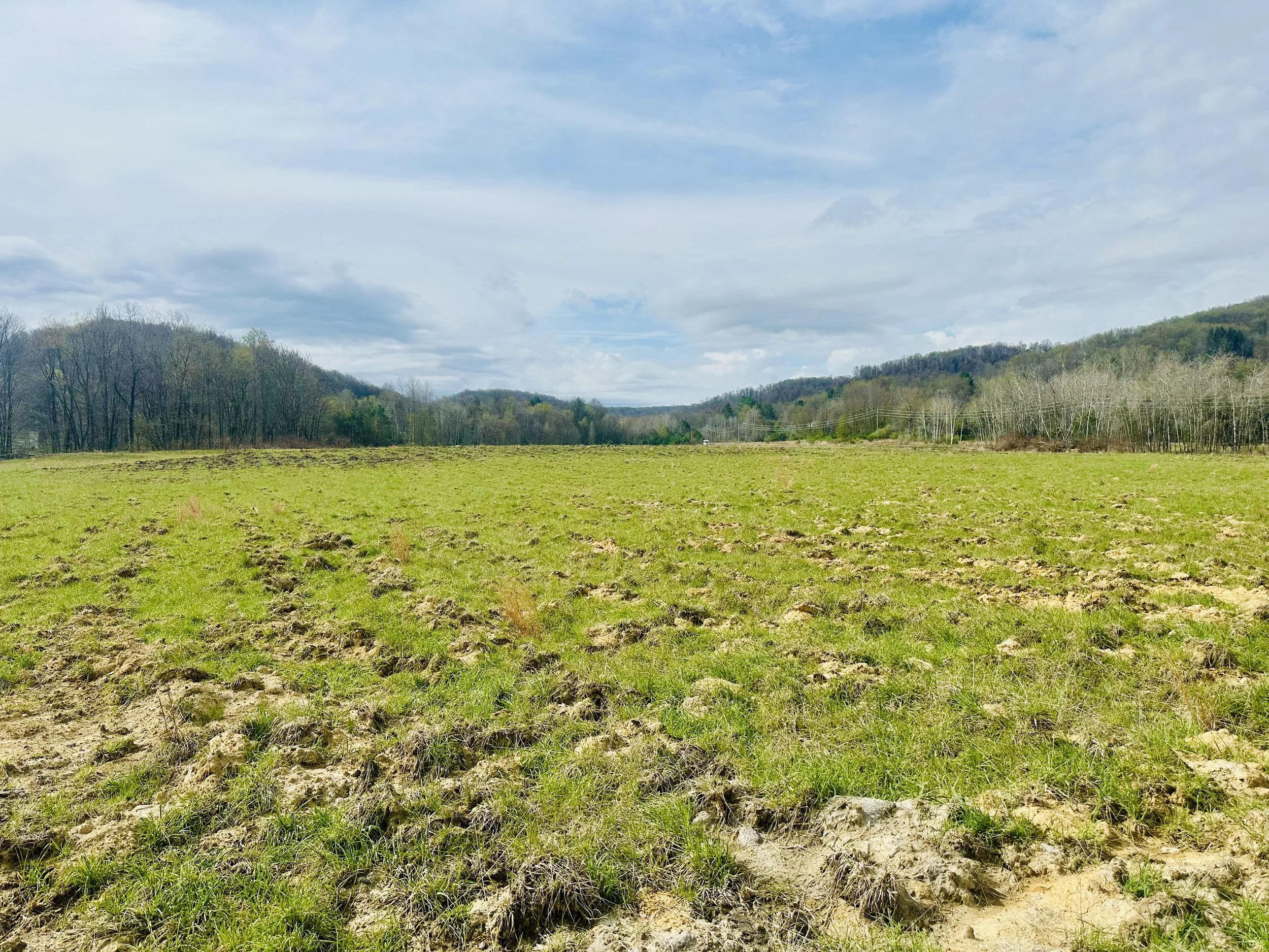 Spring Planting: Sowing New Life on Reclaimed Mine Land&nbsp;