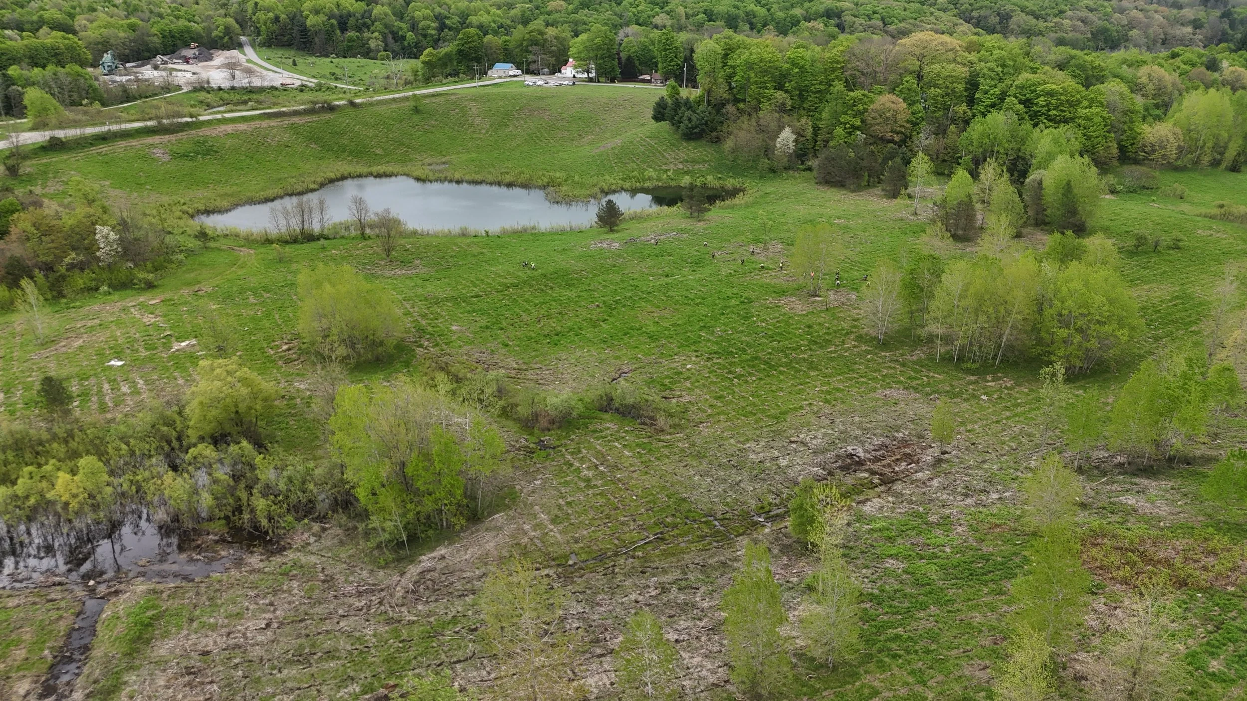 Drone view of Lake Pleasant with the planting crew adding native seedlings