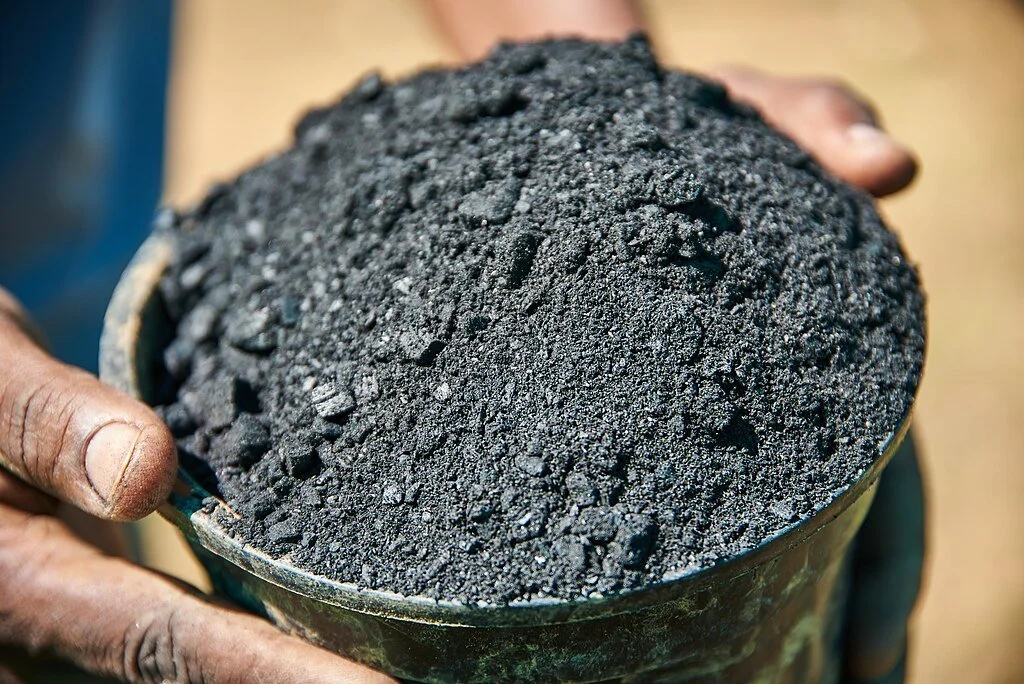 Biochar in a bucket and ready to be used as a soil amendment