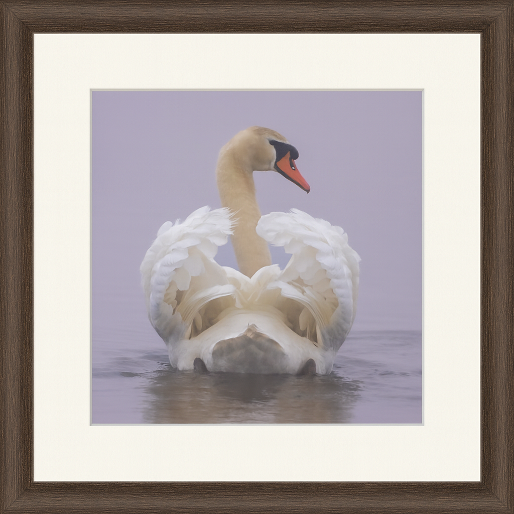 Elegant Swan Art Print | Satin & Archival Matte Posters, Wall Art, Home Decor, Nature Lover Gift, Minimalist Aesthetic