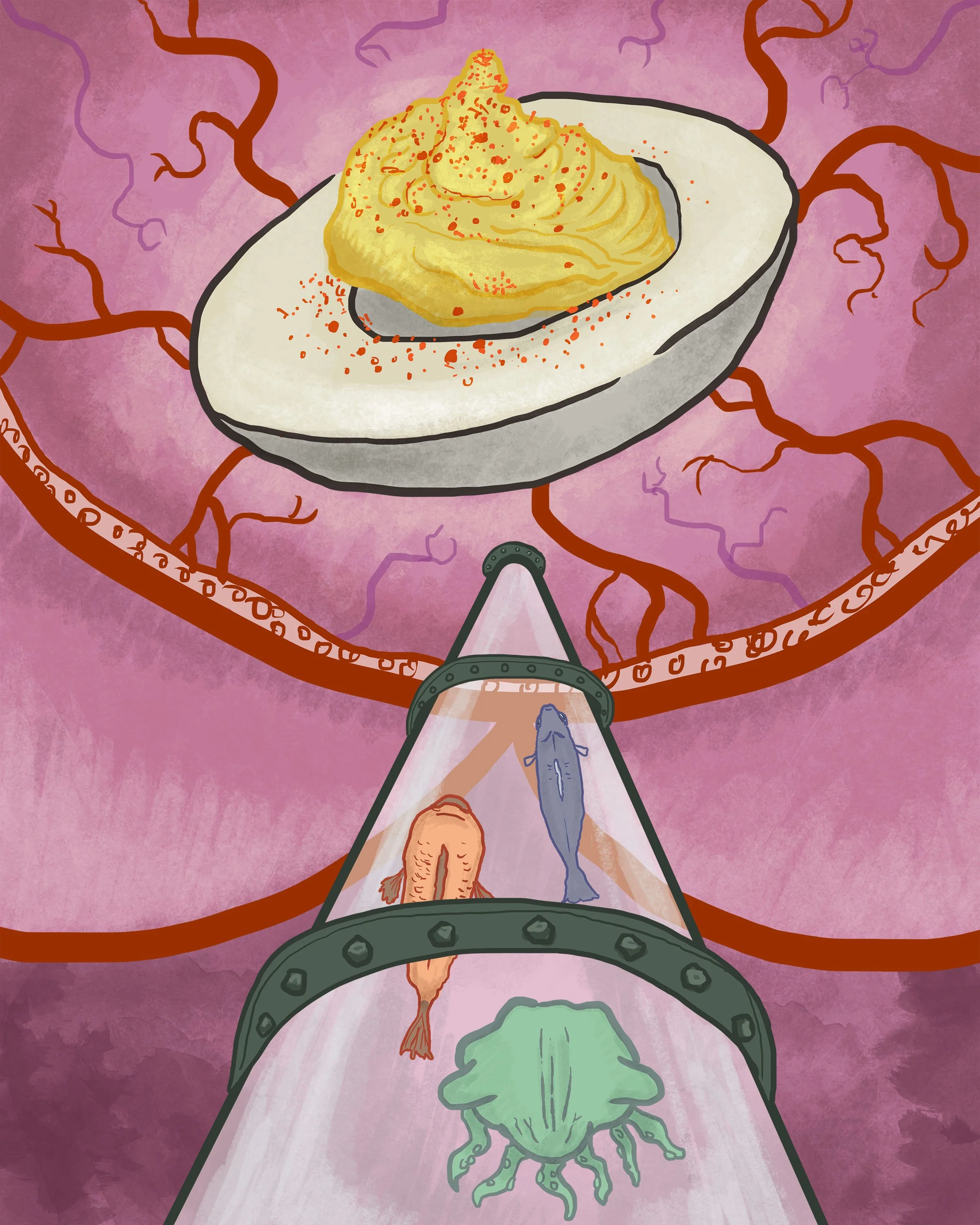 FUPA-egg-staged.jpg