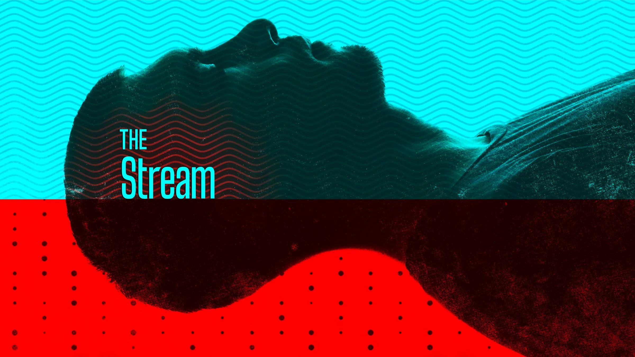 The-Stream-01.jpg