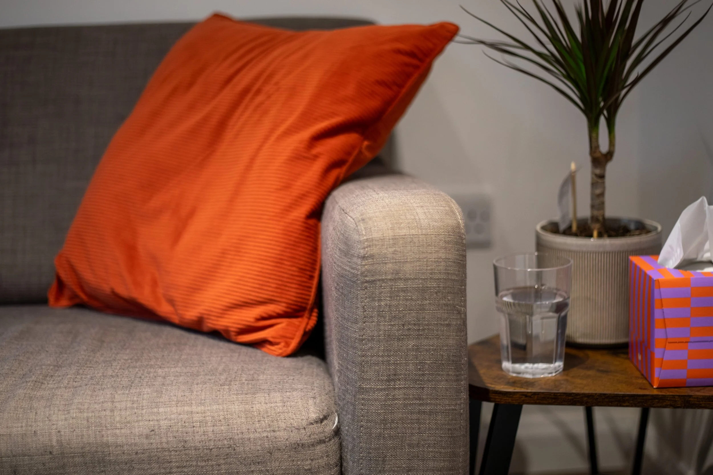 Enchanted Circle Therapy couch, with orange pillow, a glass of water and a lovely green plant