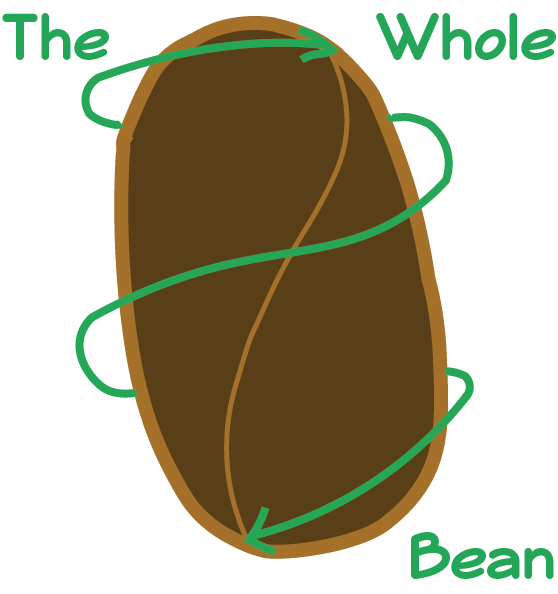 a drawing of a dark brown and tan coffee bean with a green arrow and green text