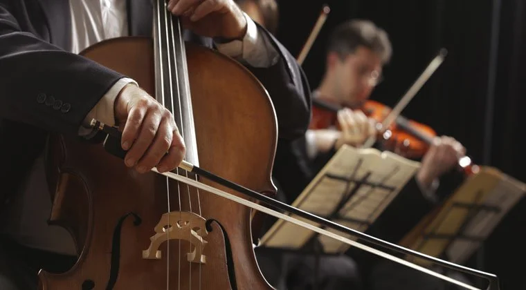 Understanding-the-Different-Roles-String-Instrument-Play-Orchestra-Blog.jpg
