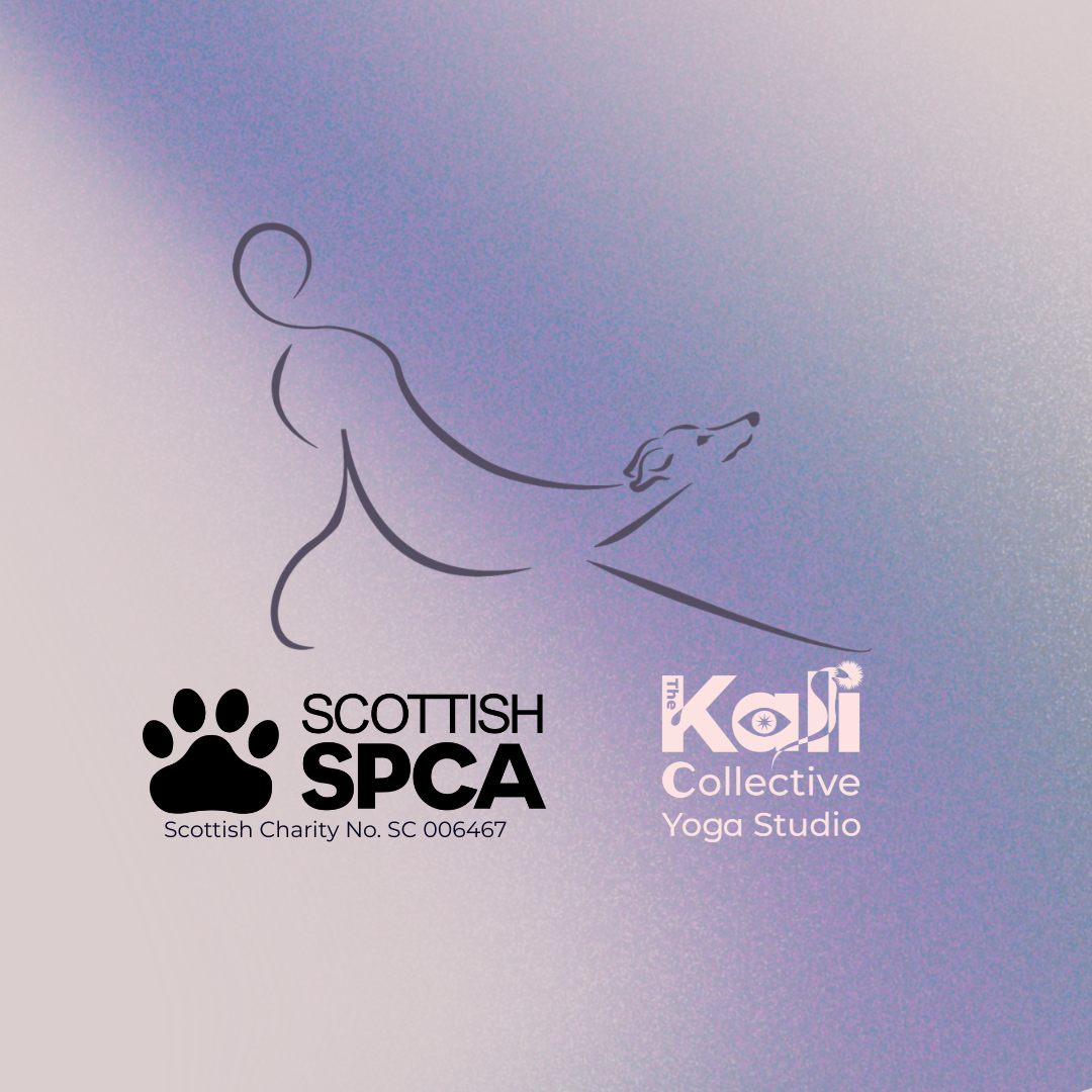 Donation Class for SSPCA