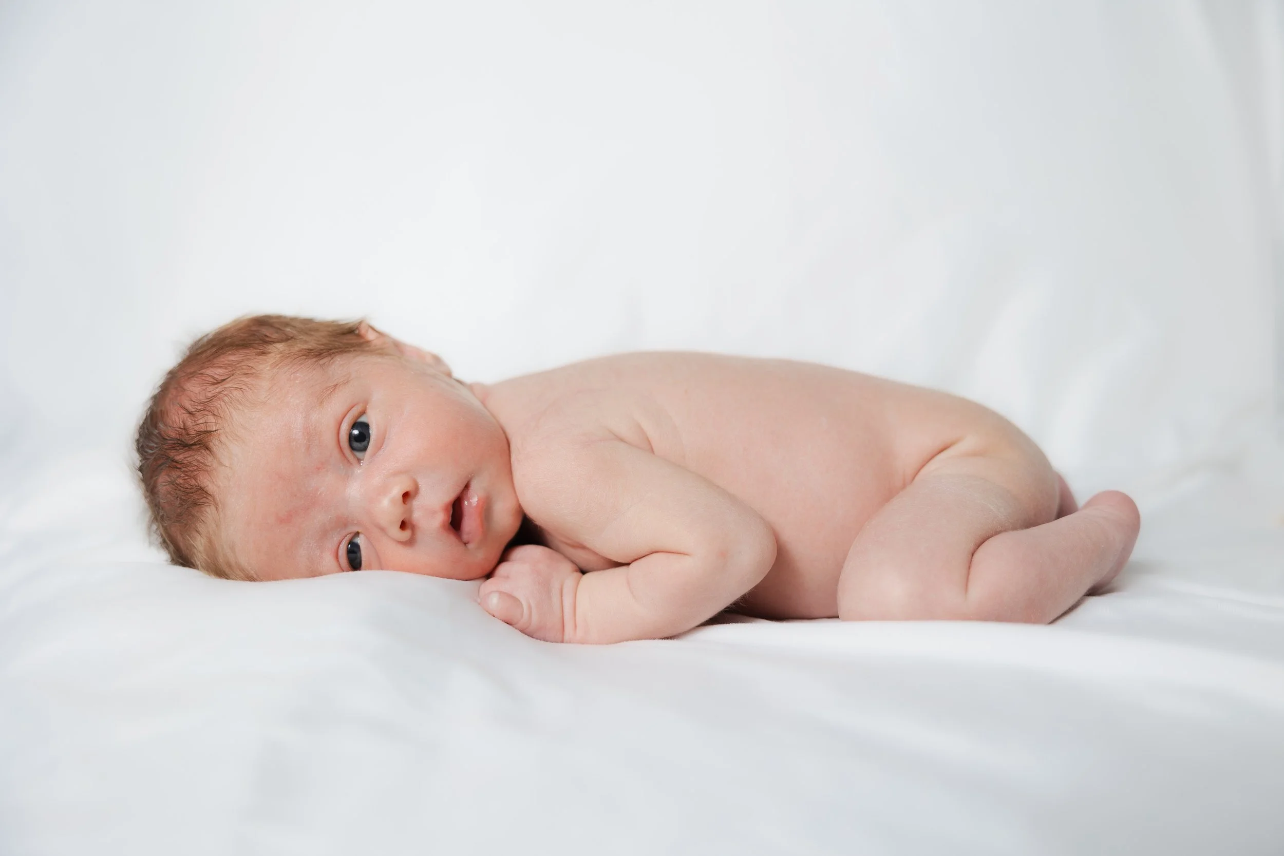 Rein Newborn Portraits-6484.jpg