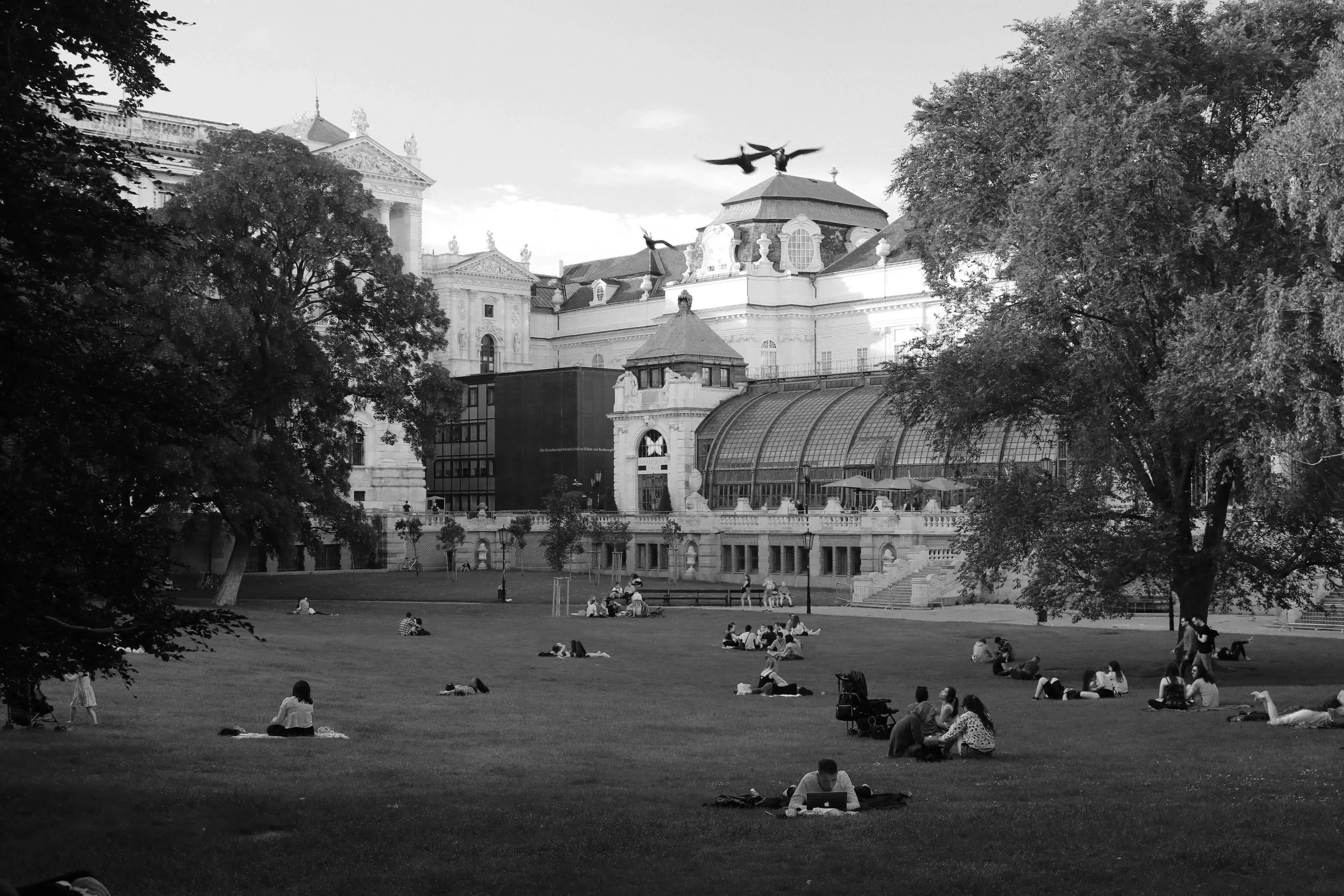 a walk through the park.jpg