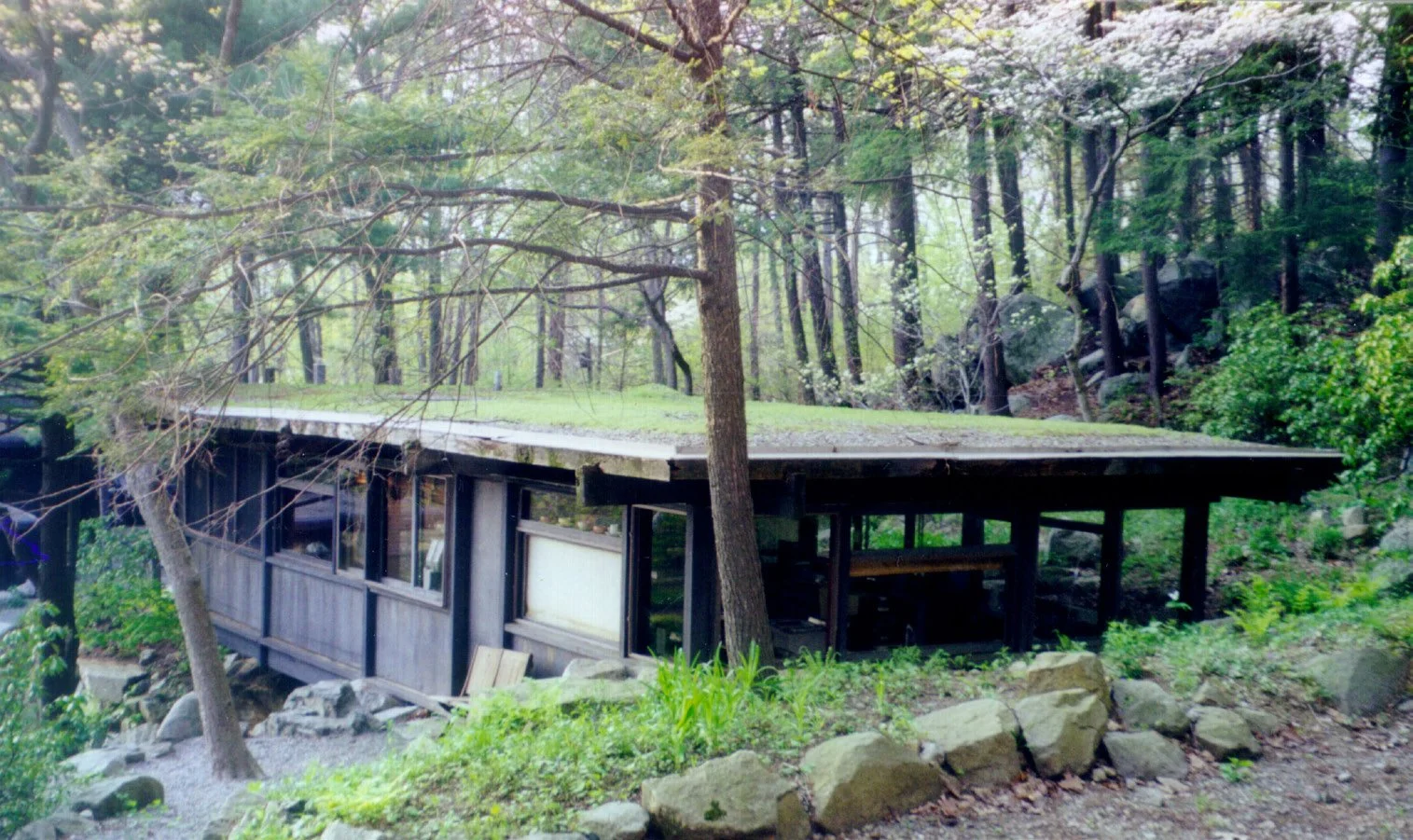 Dragon Rock - Manitoga.jpg