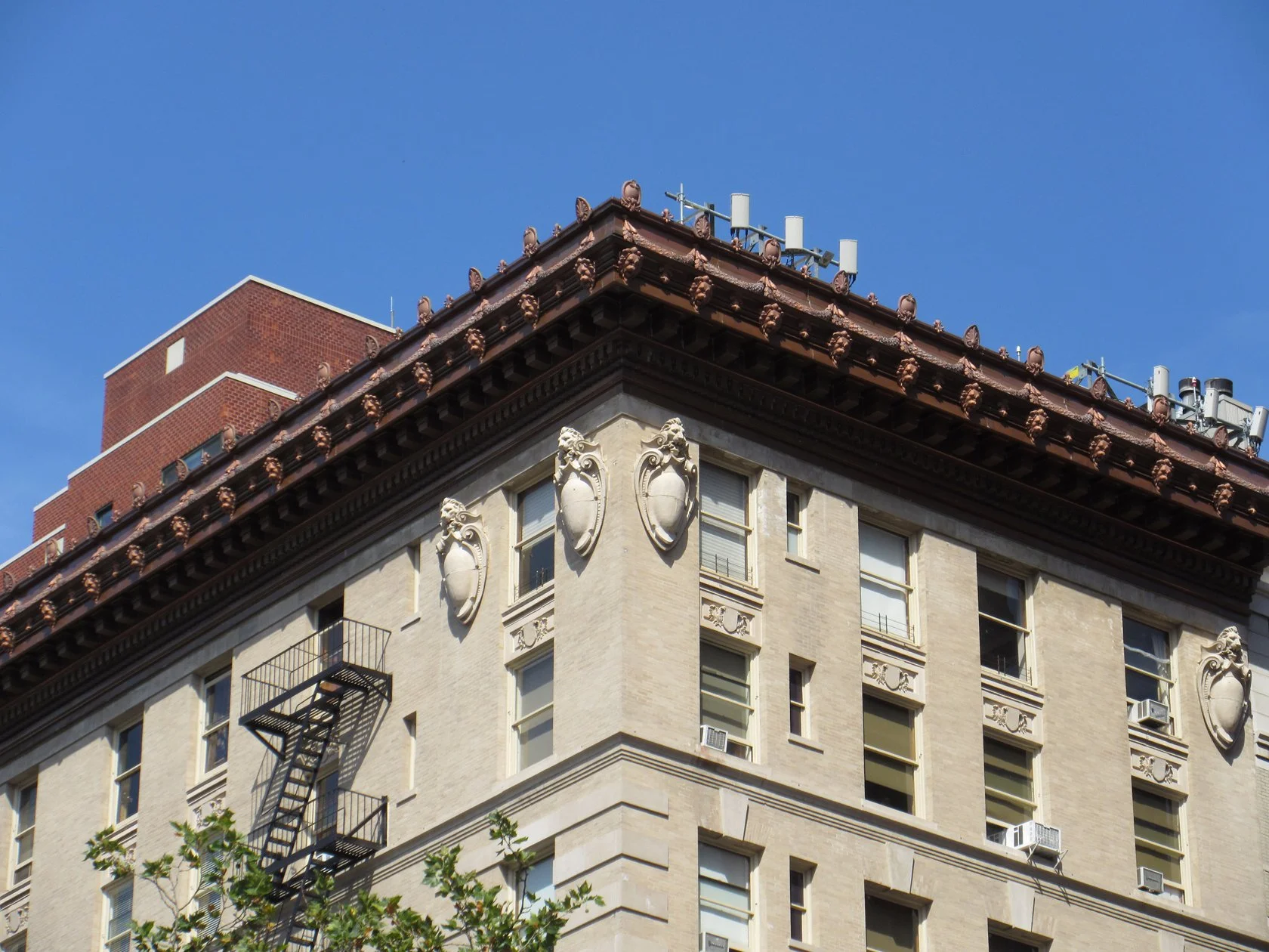 The Hadrian-6-New cornice-1680pxW.jpg