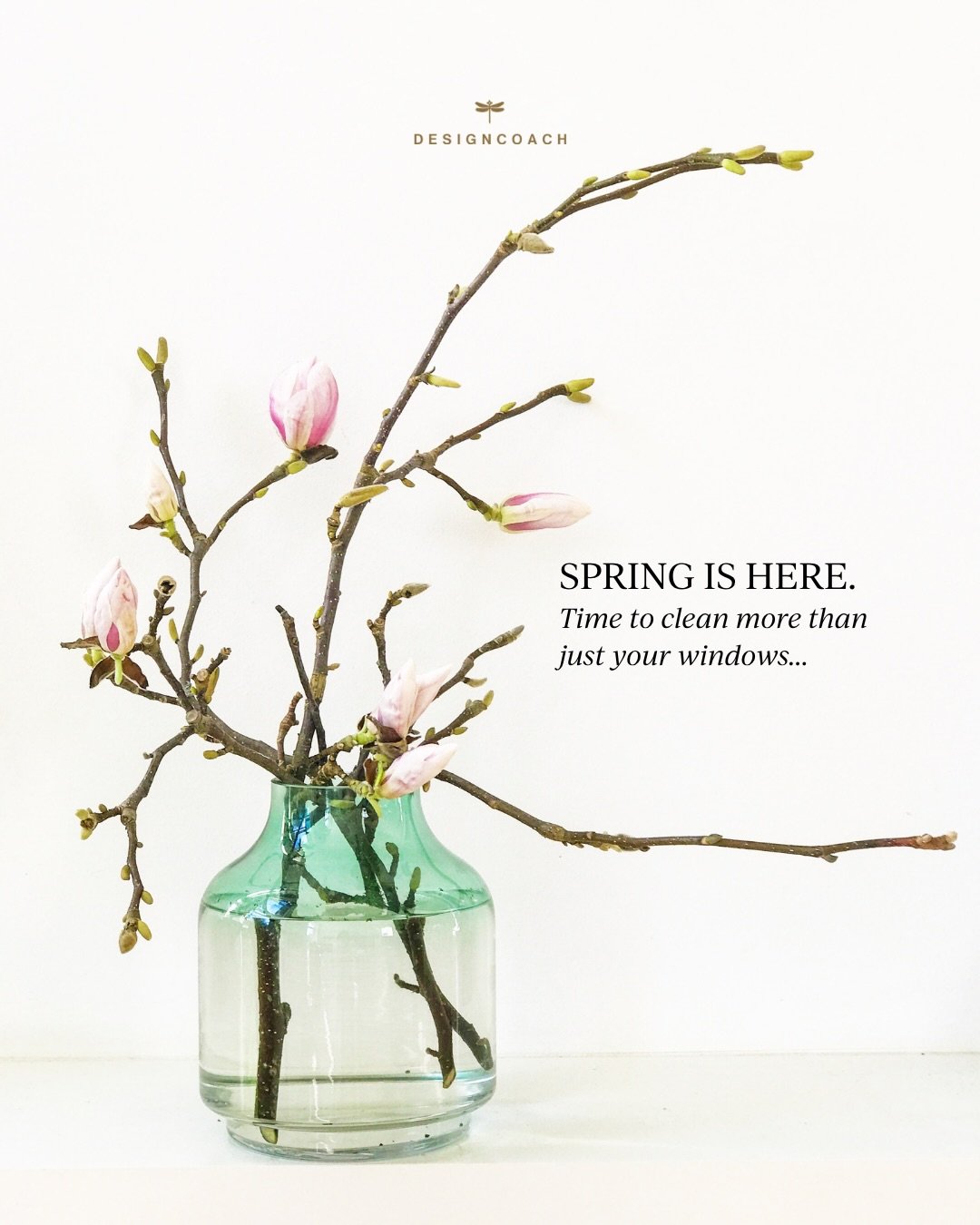 🌿 Spring is here. 
Time to clean more than just your windows.

Your website is the first impression most clients get of you. And just like your home, it needs a refresh every now and then.

Not necessarily a full redesign. But a honest look at wheth