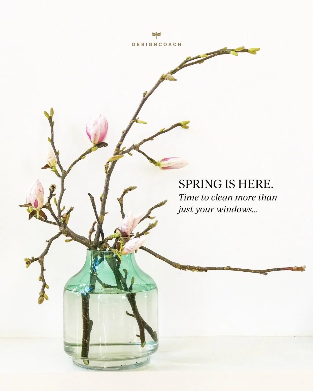 🌿 Spring is here. 
Time to clean more than just your windows.

Your website is the first impression most clients get of you. And just like your home, it needs a refresh every now and then.

Not necessarily a full redesign. But a honest look at wheth