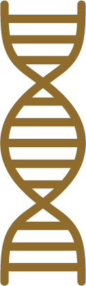 ikon med DNA symbol for at illustrere guide til Brand DNA