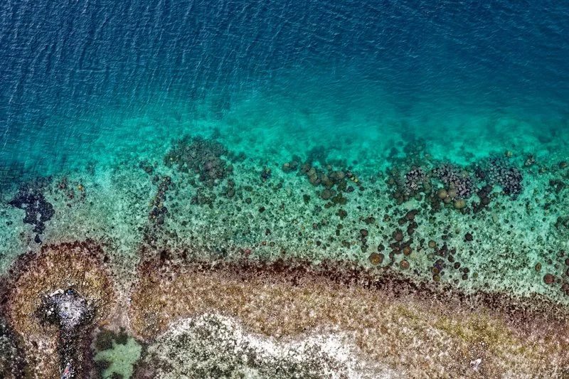 Drone shot of inspiration behind a resin painting with turquoise and emerald tones, capturing abstract beach beauty.