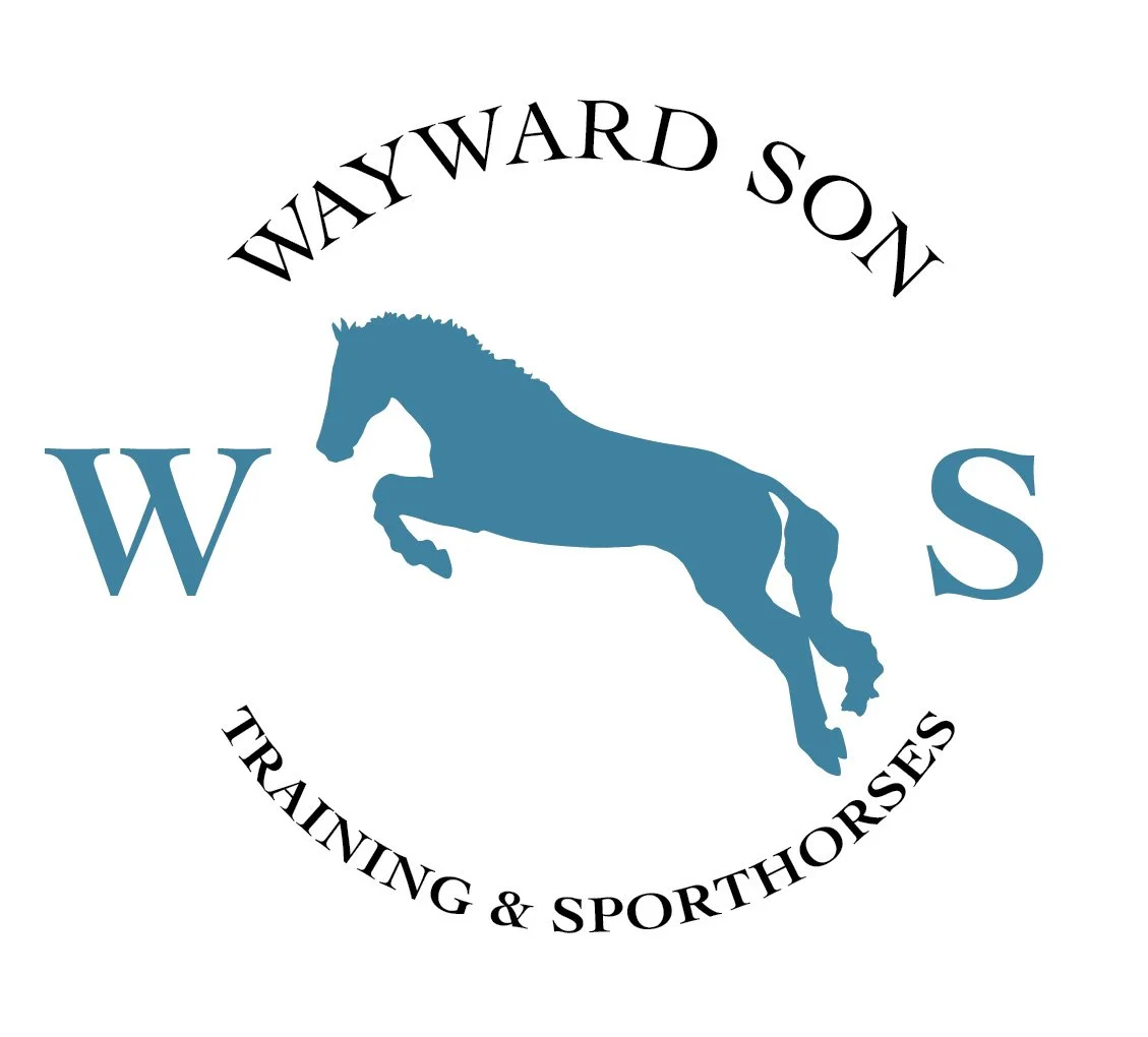 Minnesota based horse trainer specializing in OTTB training and rehabilitation
