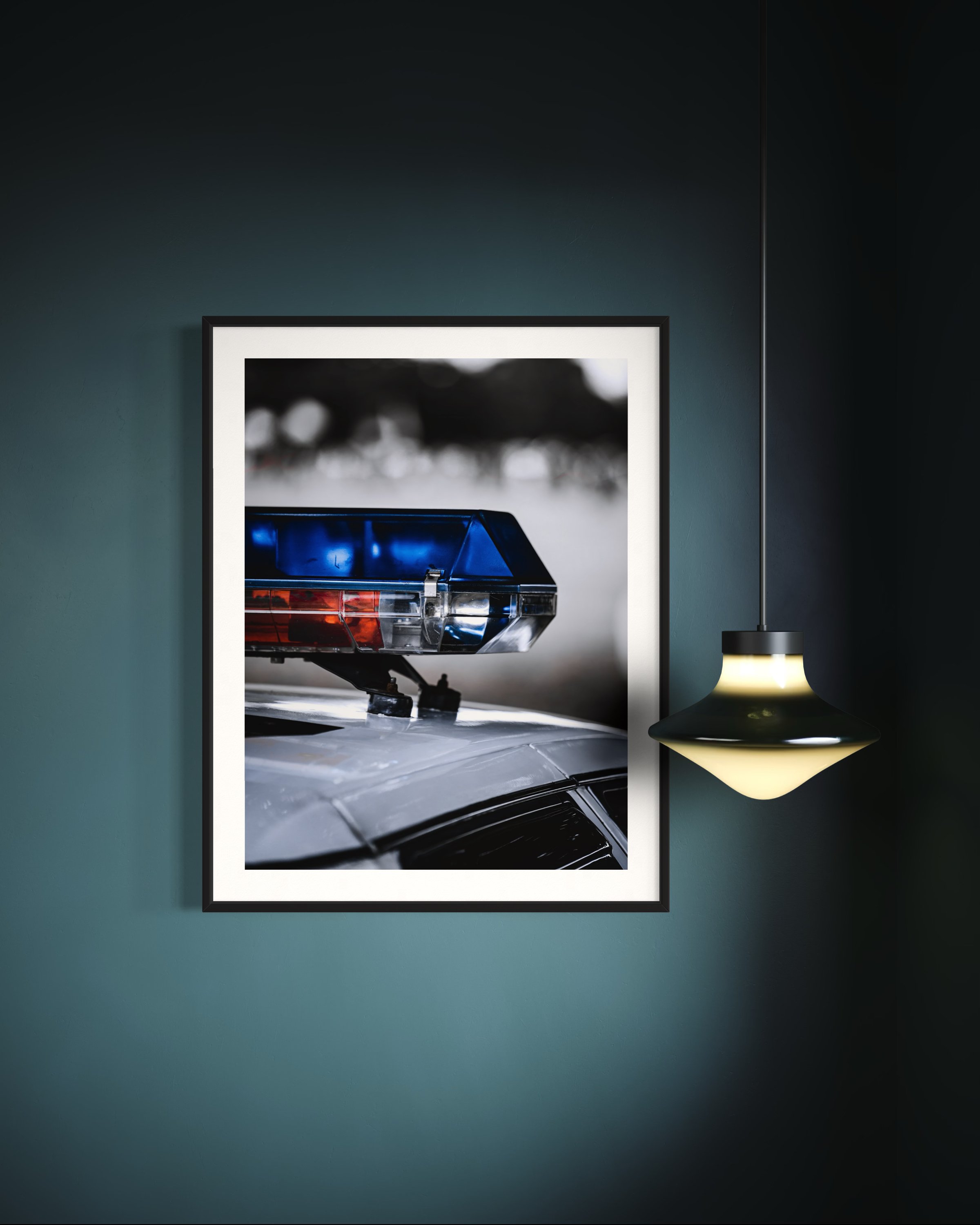 cop car 5.jpeg