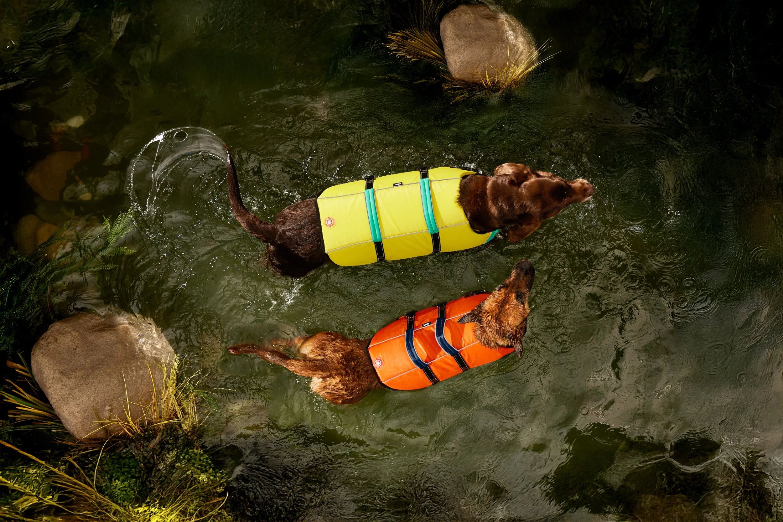 6466117_JUMPDogPaddleLifeVest_YELLOW_L_ONFIG_LIFESTYLE_SPICYTUNA_0093.jpg