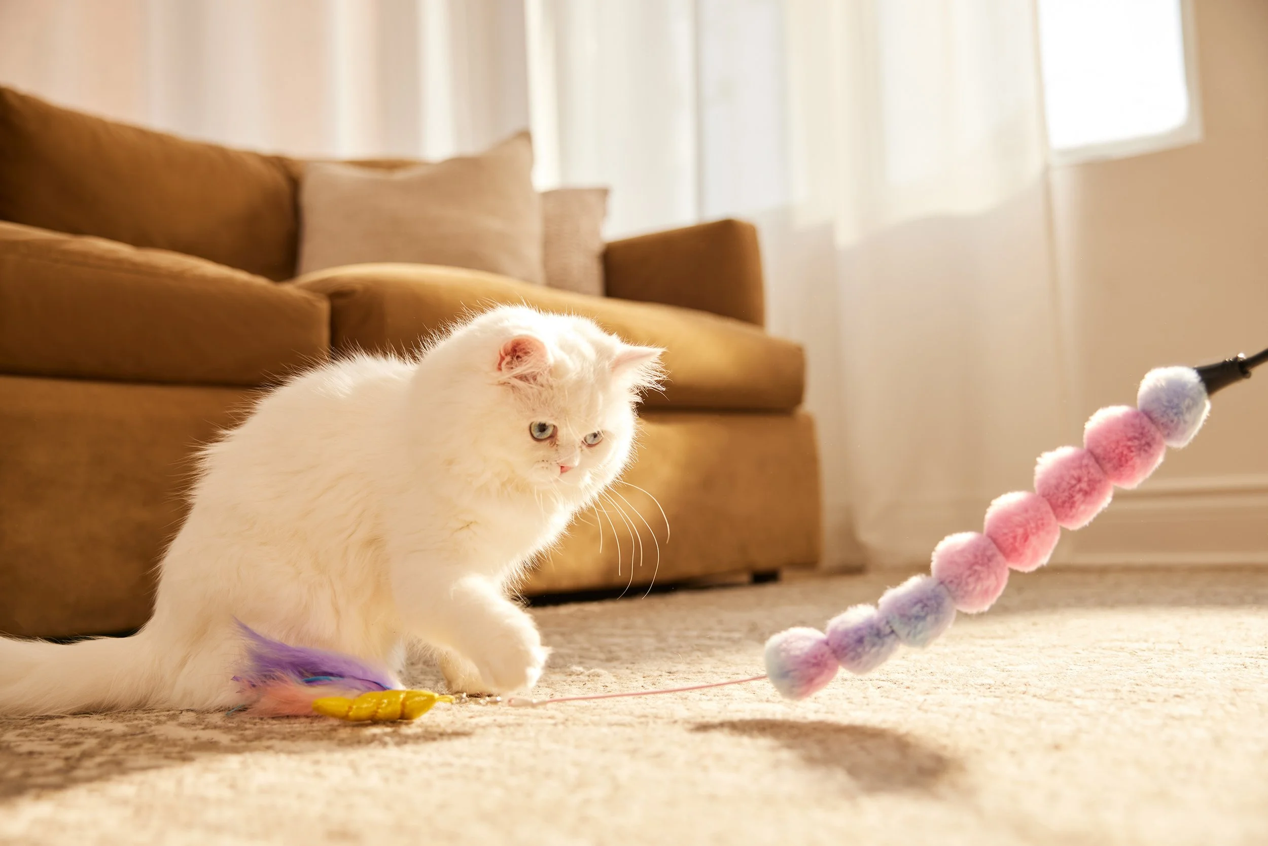 6410522_ON_JMP_FEATHERTEASER_PNK_LIFESTYLE 26.jpg