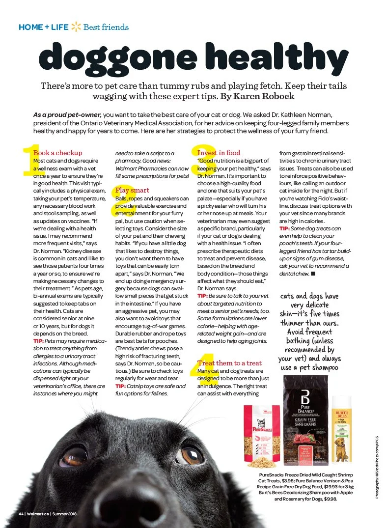 SUM18 - HOME - Pets.jpg