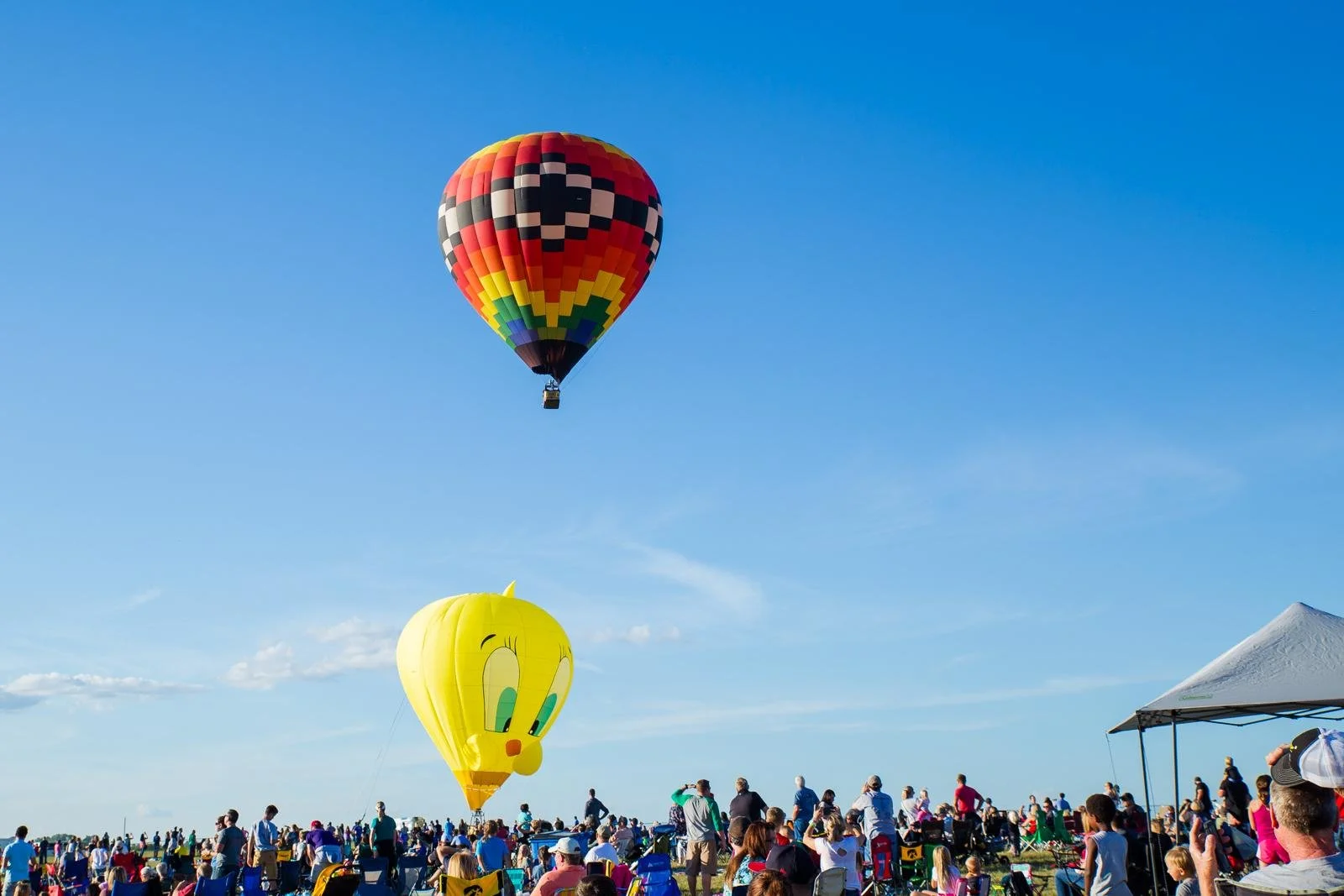 Two colorful hot air balloons lifting up into the clear blue sky at the National Balloon Classic in Indianola, Iowa.