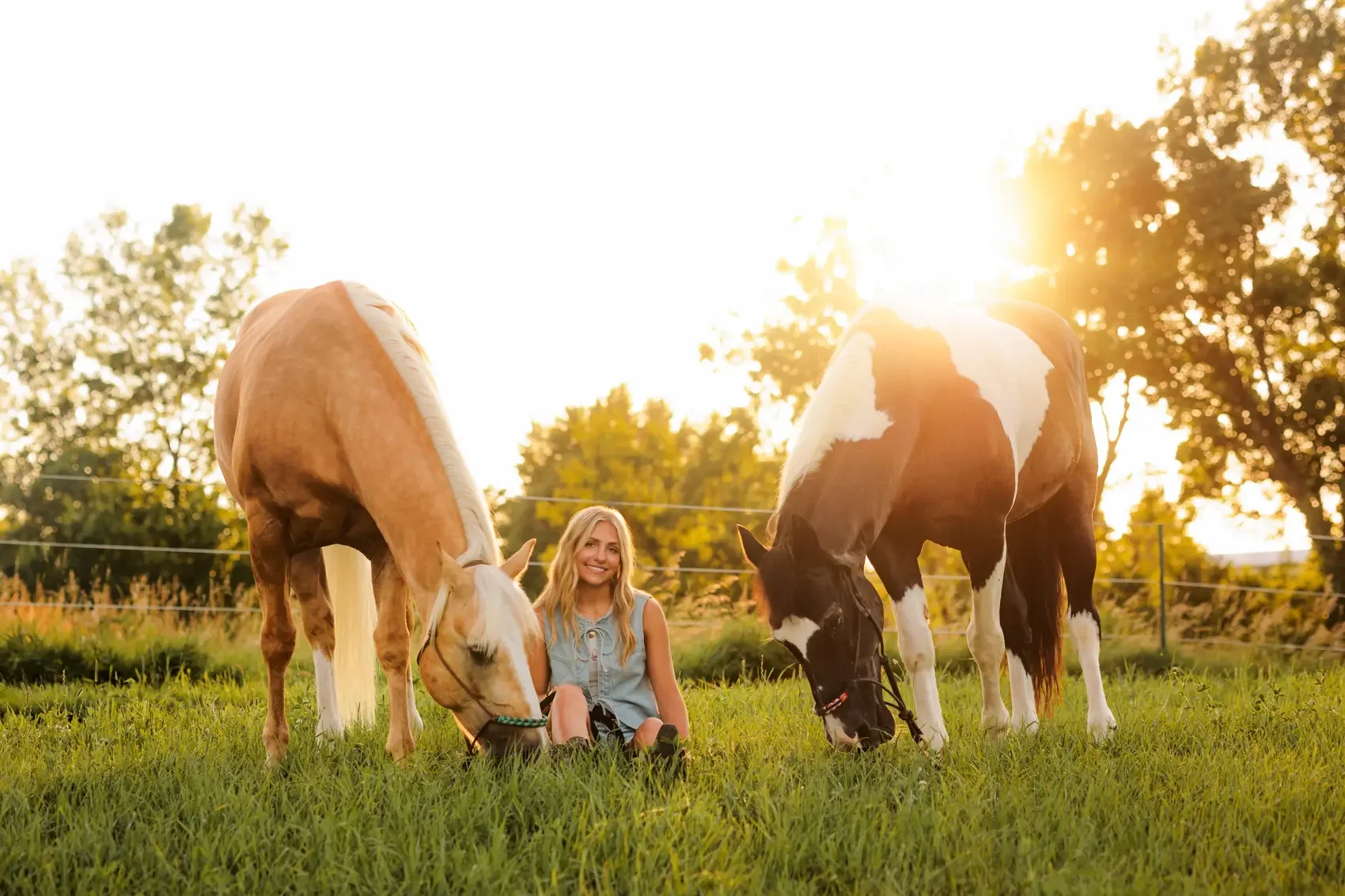 Senior girl  sitting on grass between two horses in a sunlit field with trees in the background. Photo by Des Moines senior photographer Wendy Sorensen.