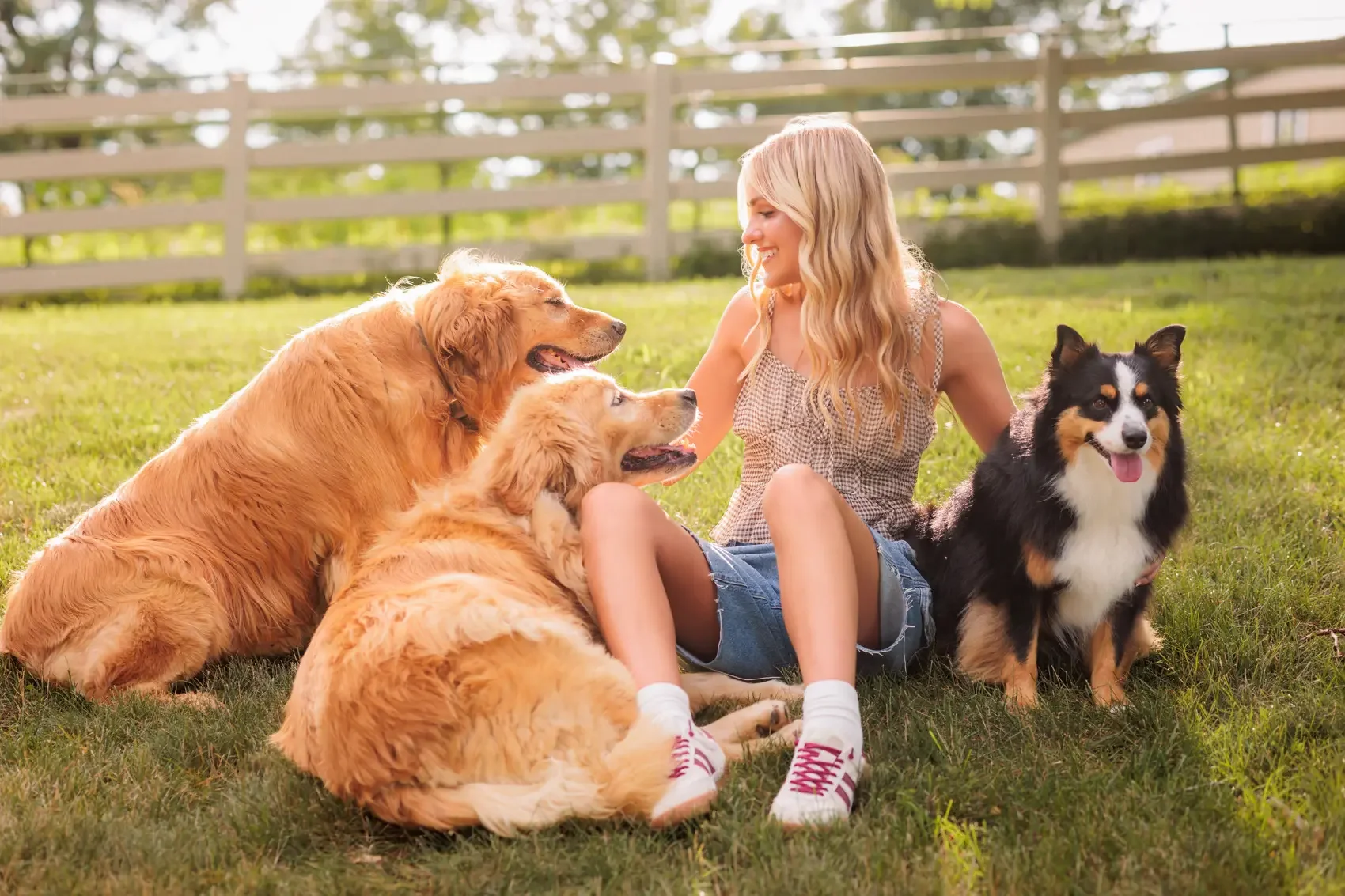 A smiling high school senior girl sitting on the grass outdoors with four dogs, including two golden retrievers and one Australian shepherd. They are enjoying a sunny day in a fenced yard. Photo by Wendy Sorensen, a Des Moines senior photographer.