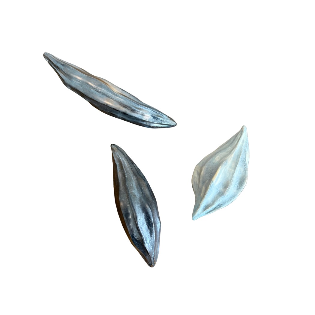 ERICA RECTO / Seed Pods