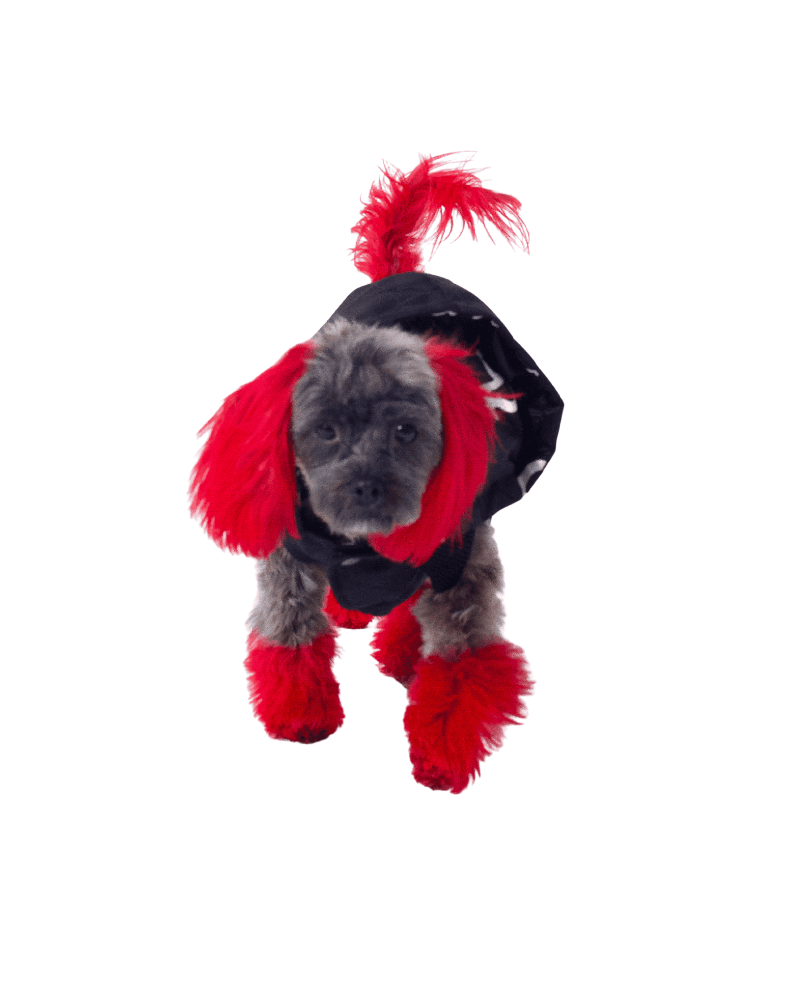 Puppy Hoodie Jacket