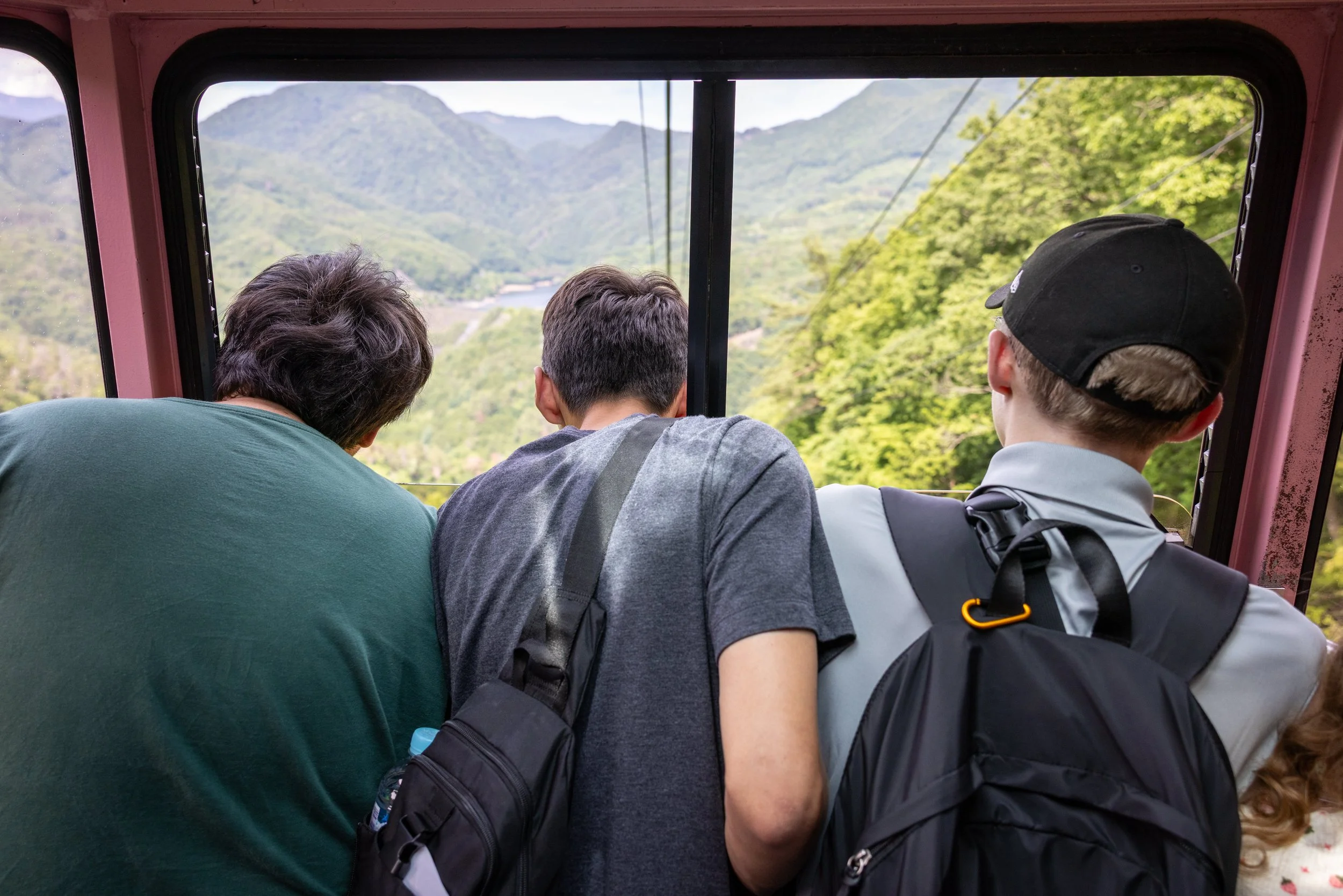 55350840329_b57df3cf5a_6k.jpg