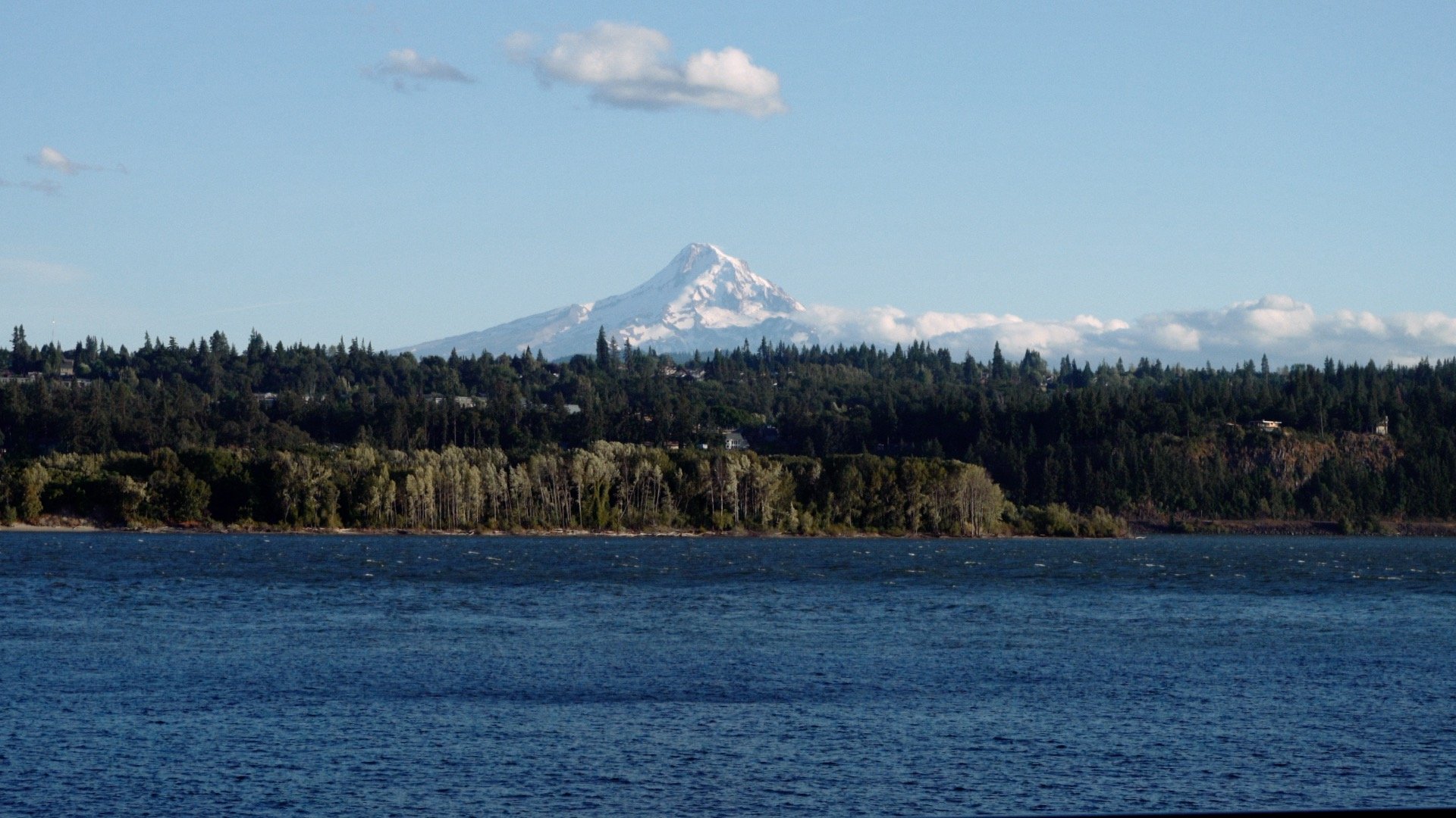 skamania lodge wedding-17.jpg