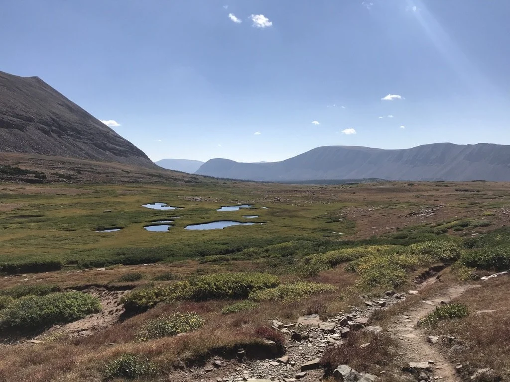 6D9E7569-C25C-4D99-AB19-95ED75978EA5_1_105_c.jpeg