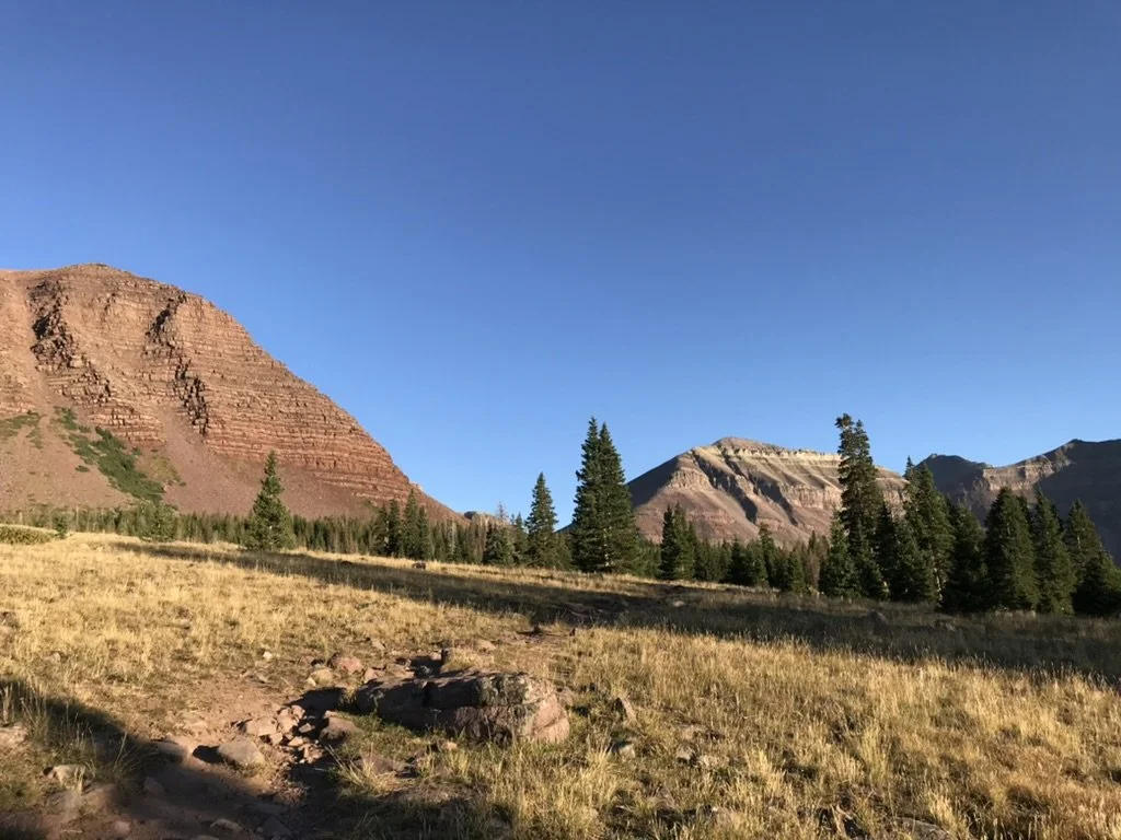 075C9066-3F2E-4D9D-A015-6266FC92D469_1_105_c.jpeg