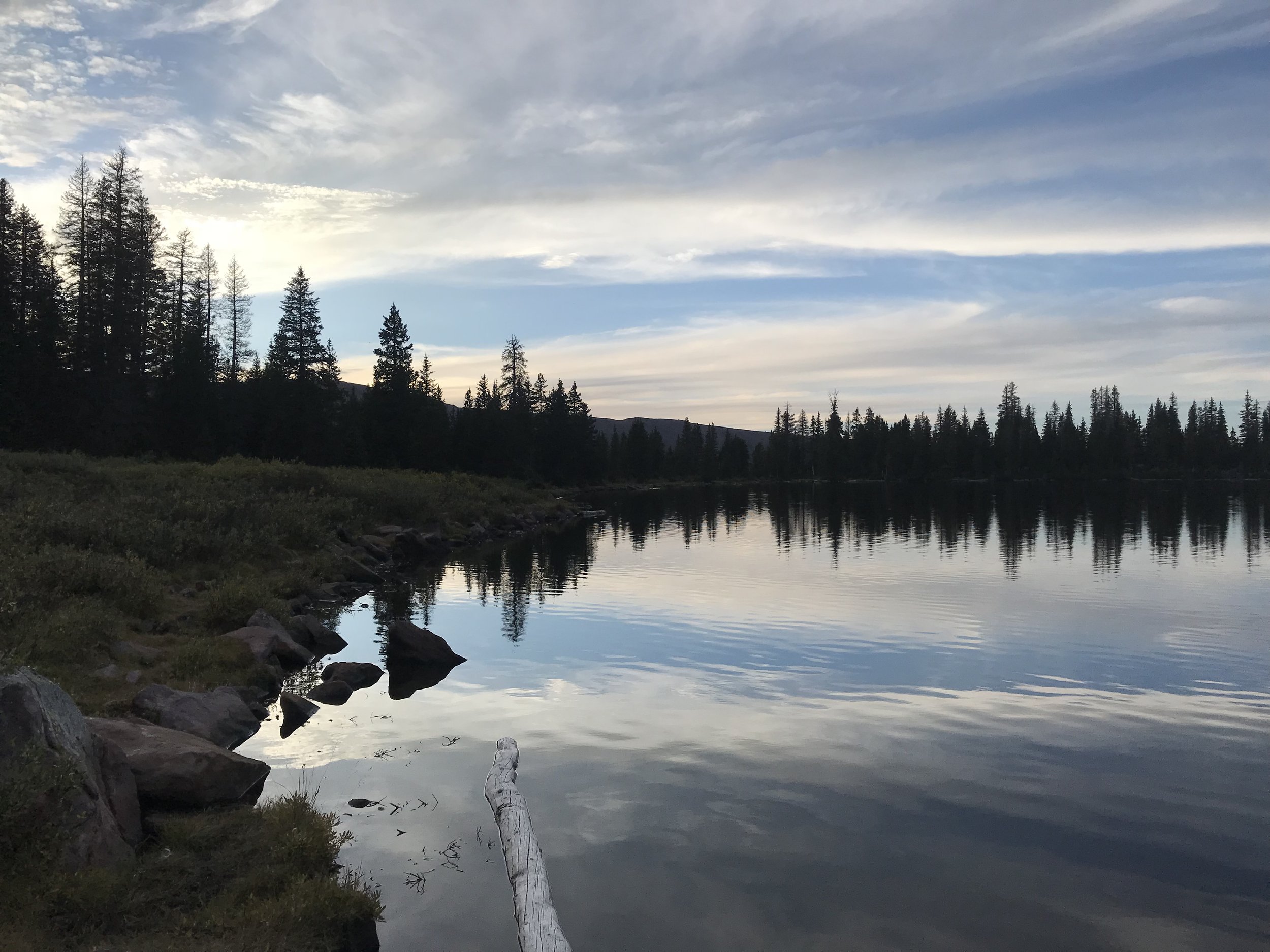 FFA83305-D8EE-4671-B61F-95D3405AB124.jpeg