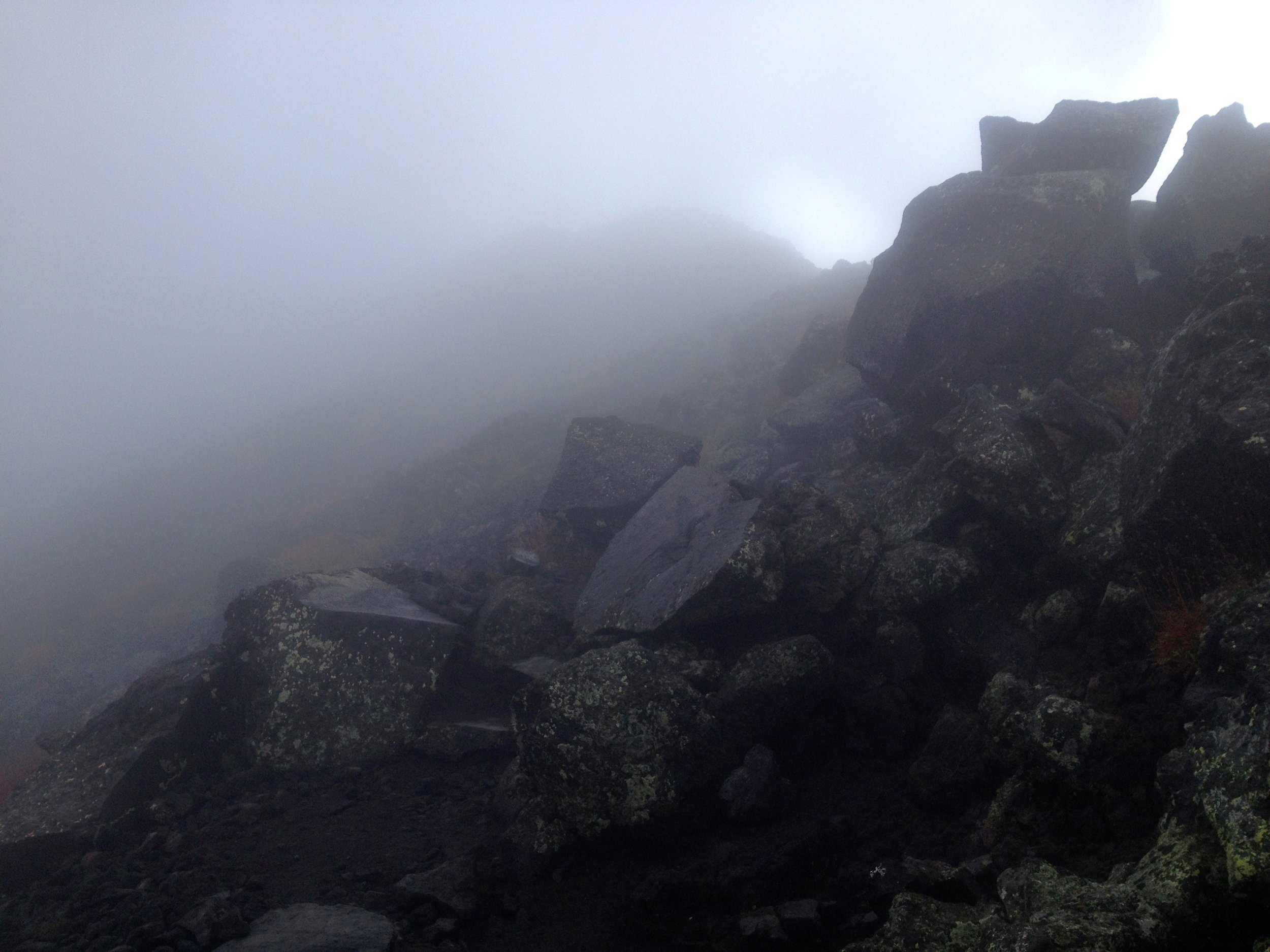 8F9646B8-65B8-487F-85AA-C9AAFFF69327_1_201_a.jpeg