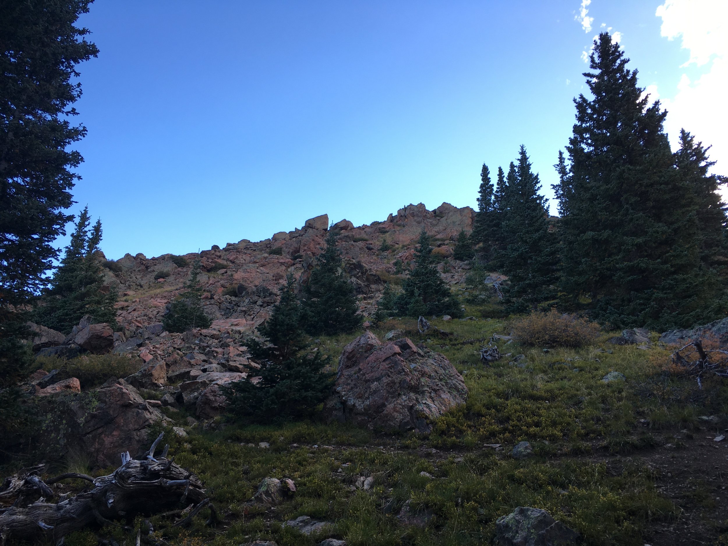 3547B508-0E04-49B7-AF82-C41FE2B97A0A.jpeg