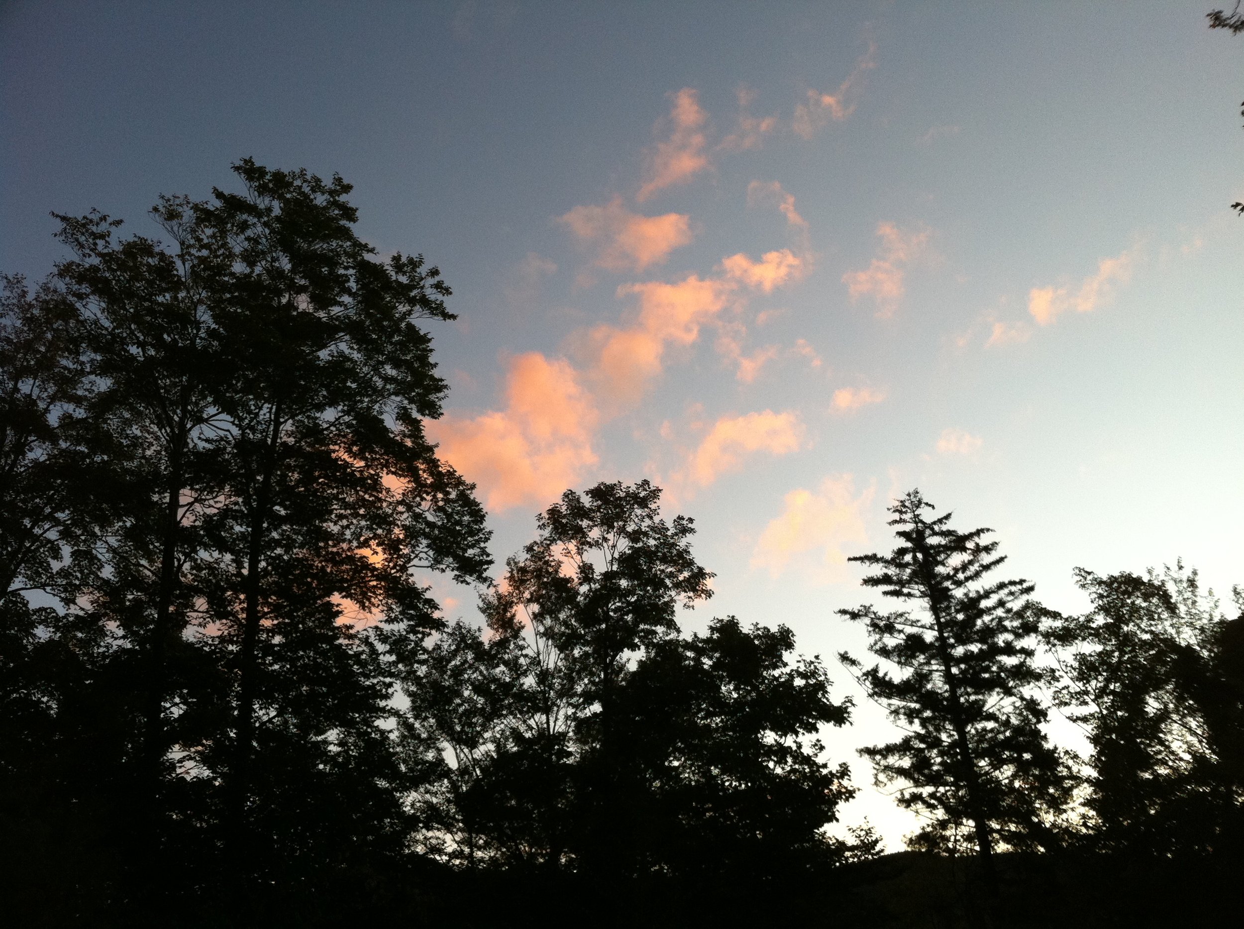 1778BBE2-E54B-46B4-BD5B-C7FA898D2055.jpeg