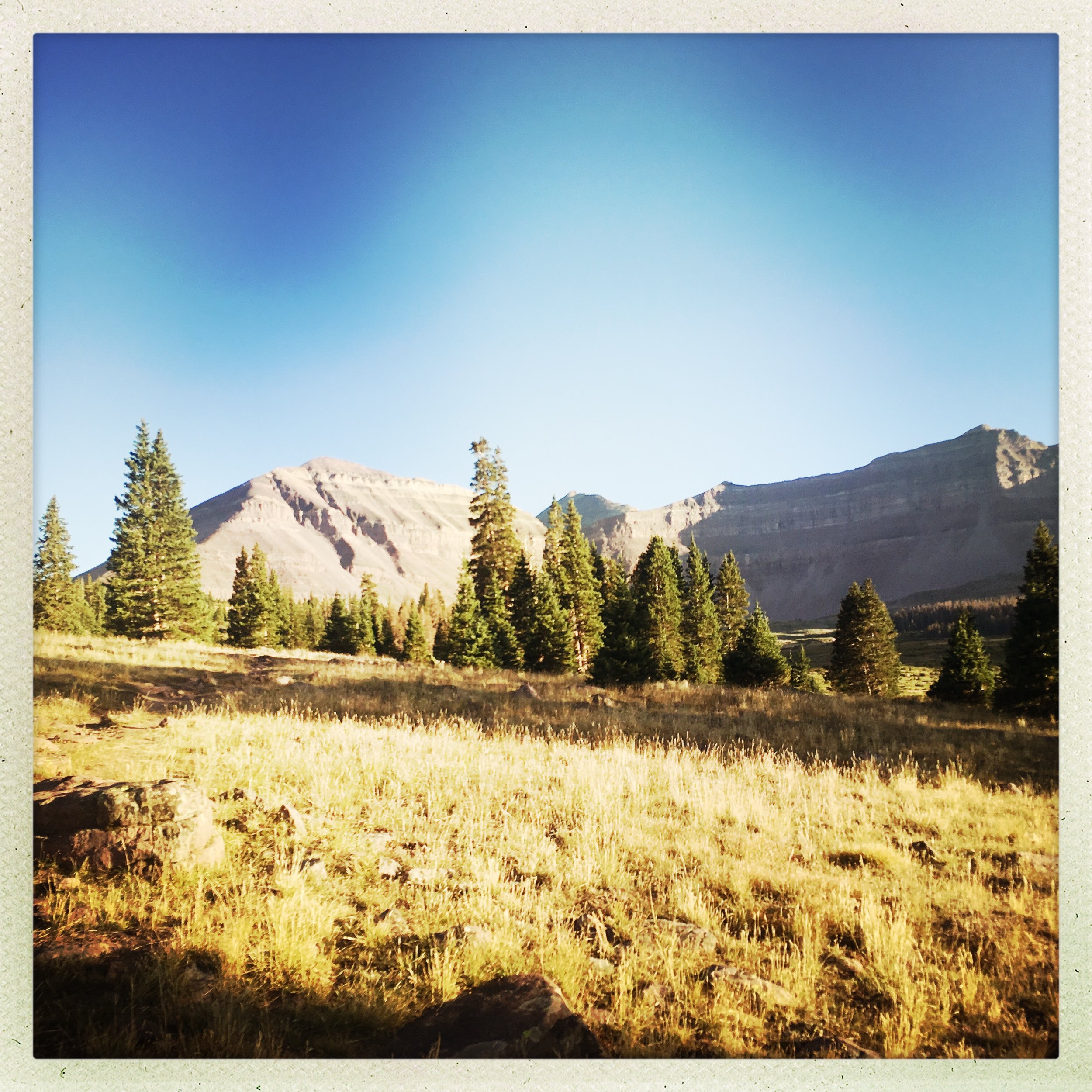 8602C30B-7239-4AB7-A51E-7B847B46EE06_1_201_a.jpeg