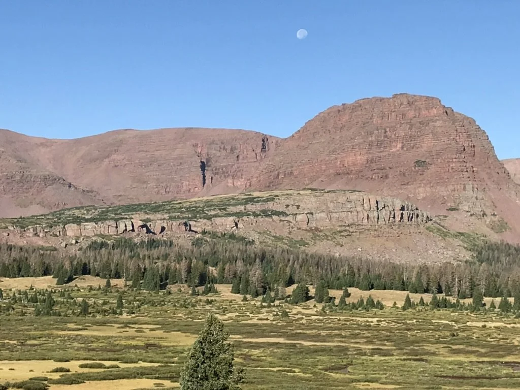 5179209D-B6CA-42B0-B1C0-366D564B9129_1_105_c.jpeg