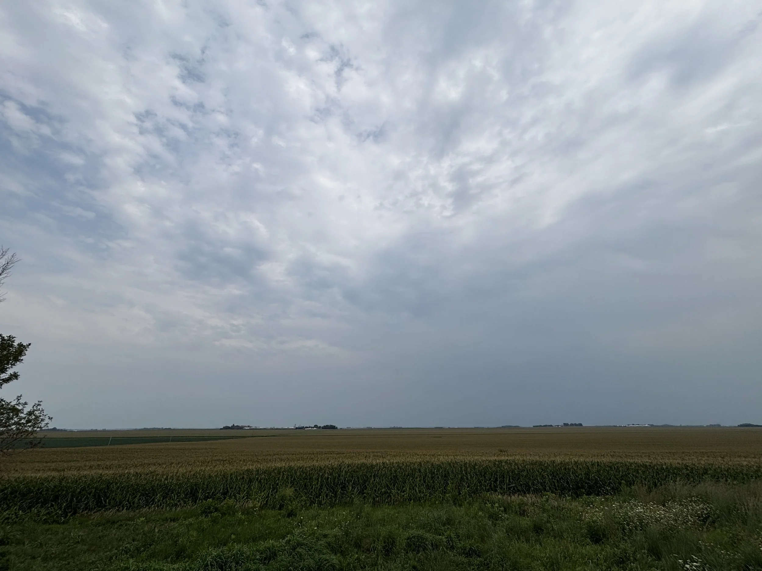 IMG_2845.jpeg