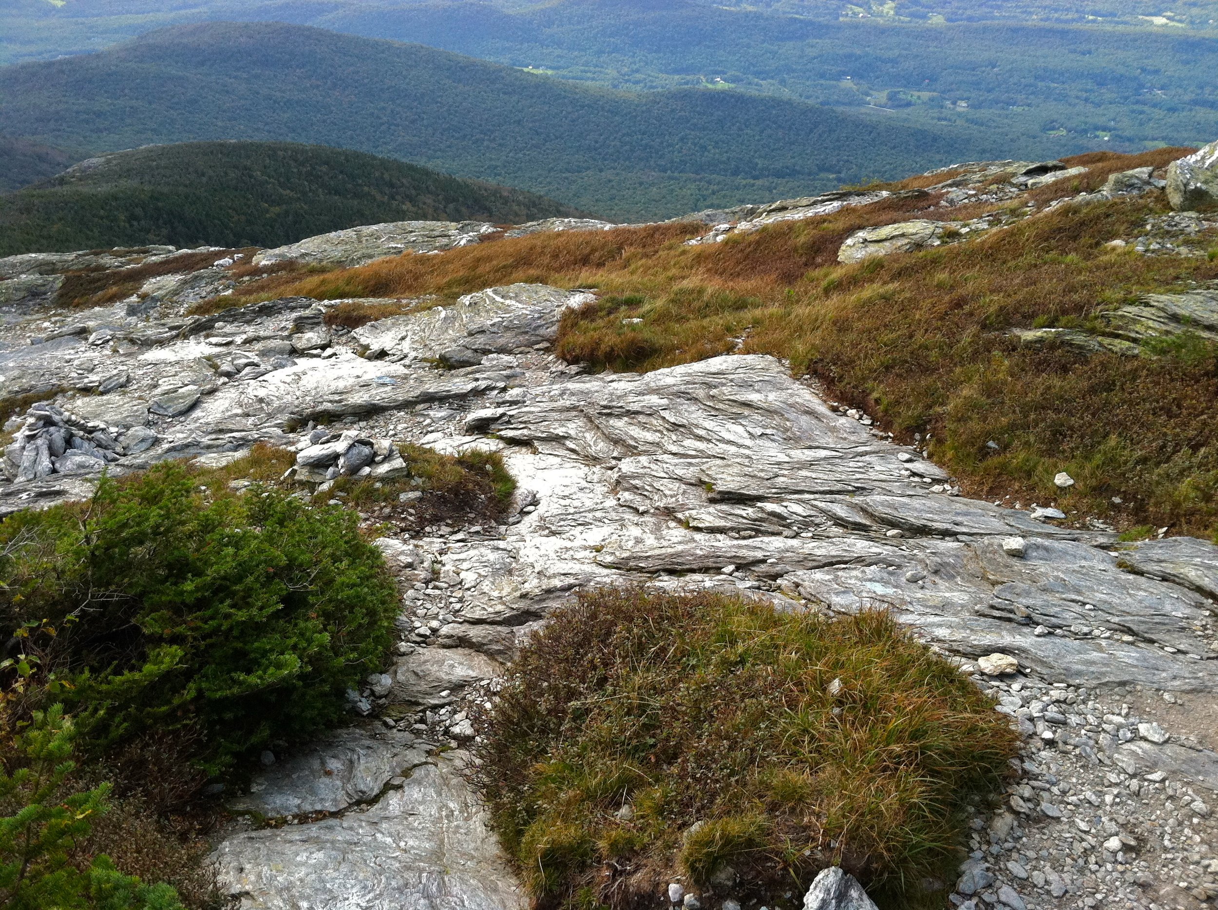 1AD03257-A2BE-4E8A-819B-A0181F1089BF_1_201_a.jpeg