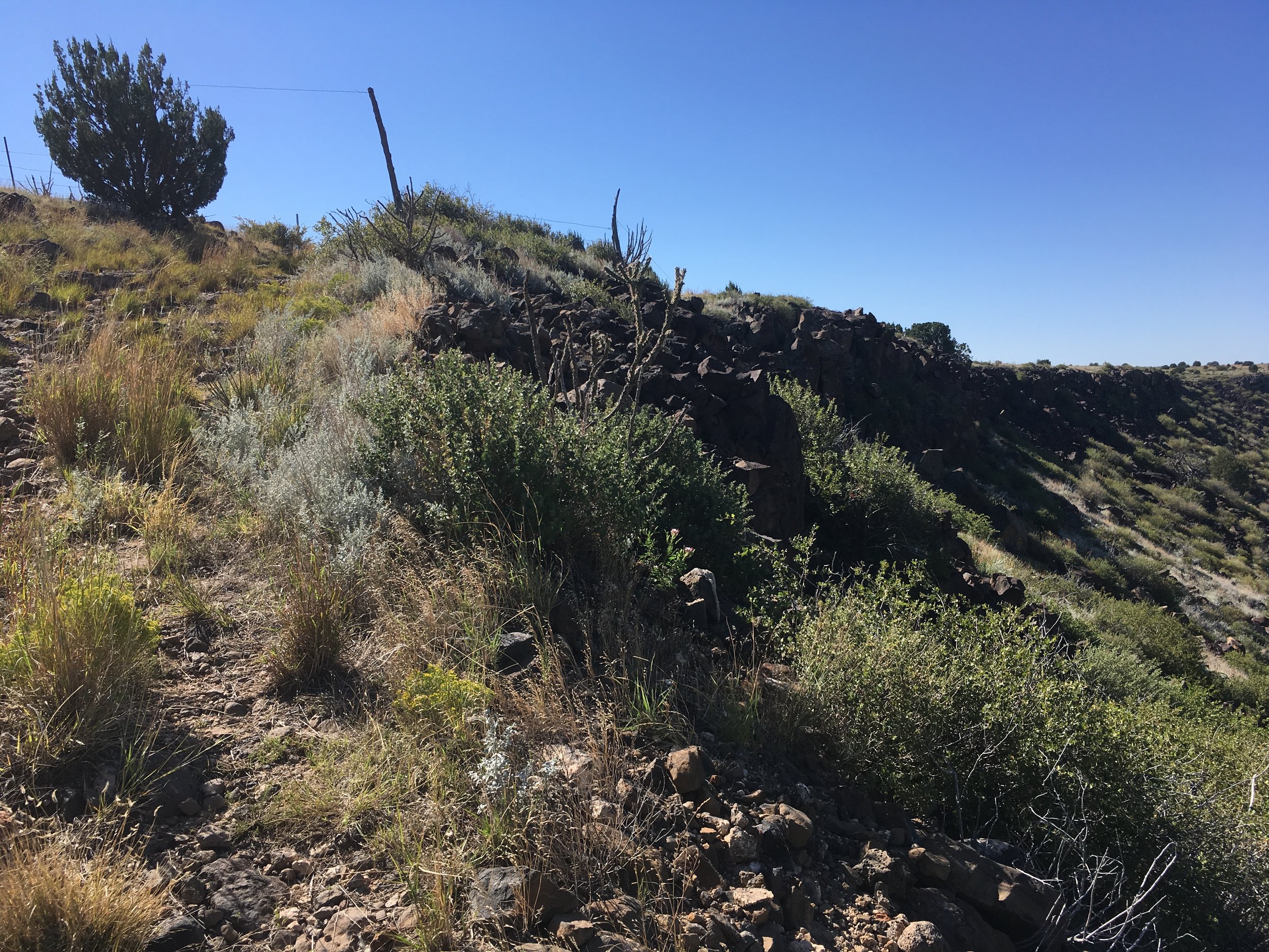 ABBDB06C-5D71-4D51-BEF0-7063DF76E305.jpeg