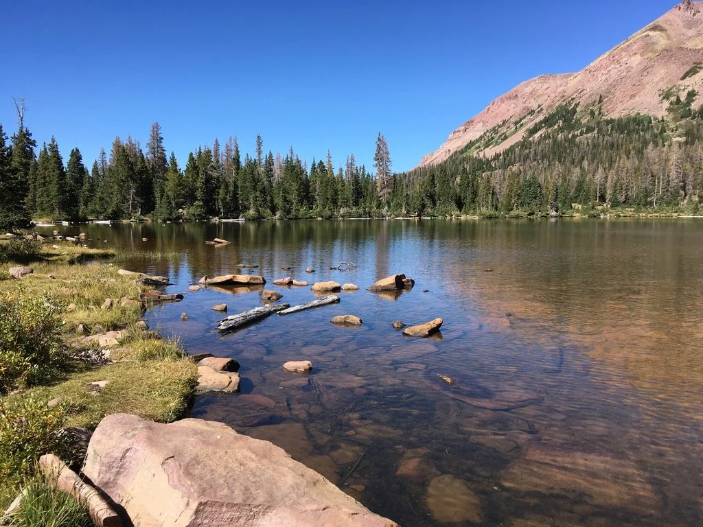 12874C33-F6F4-44D6-96B5-22808F8DD643_1_105_c.jpeg